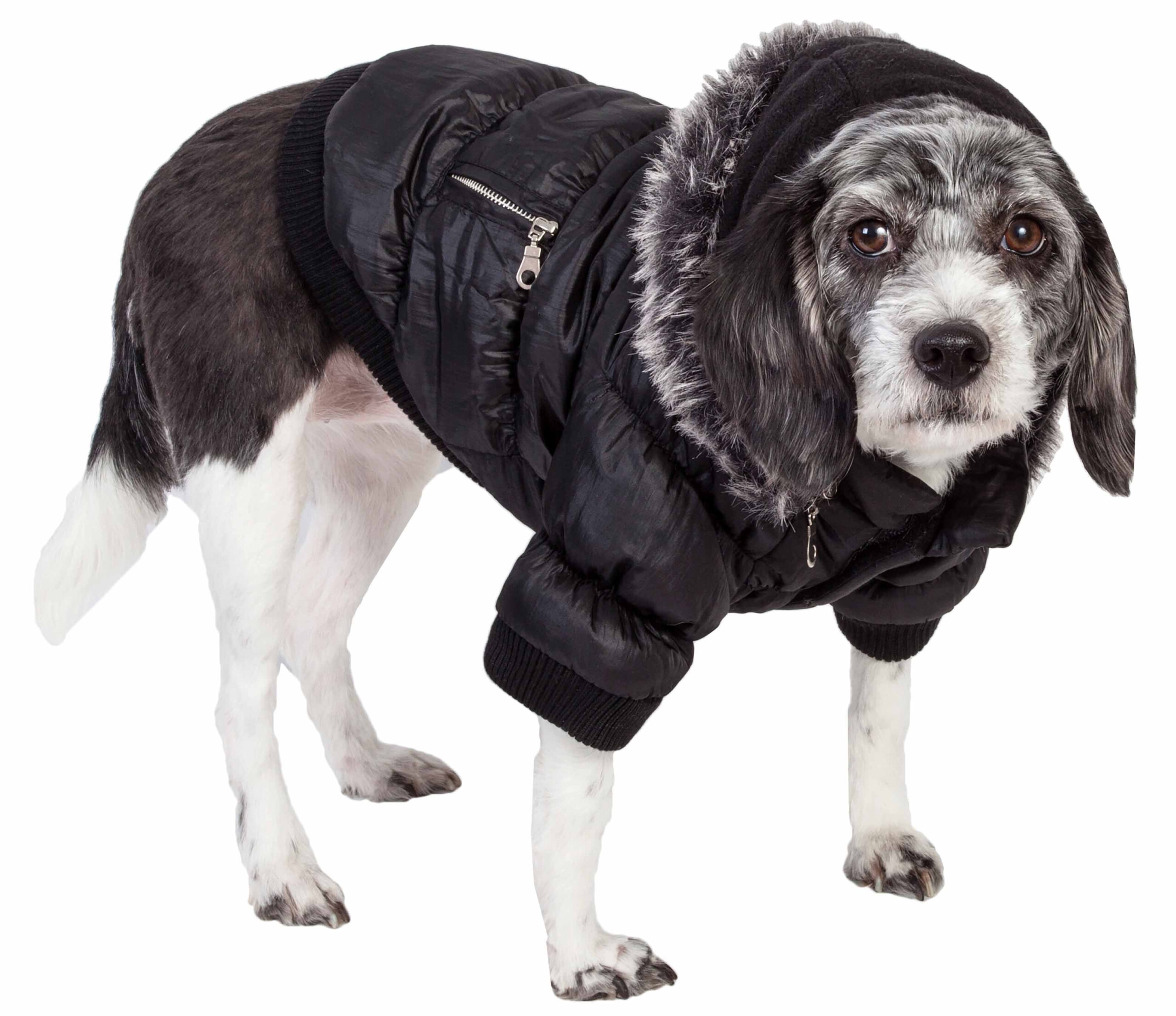 Metallic Fashion Pet Parka Coat - Image 25