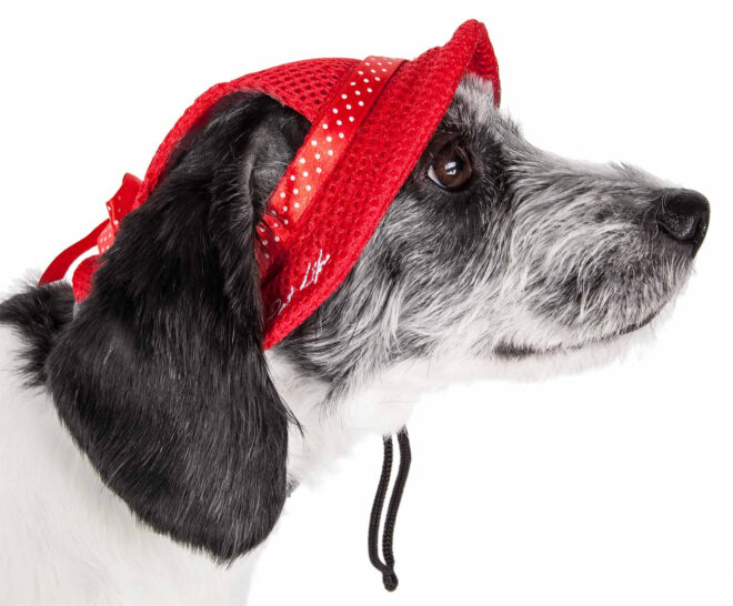 Pet Life 'Sea Spot Sun' Uv Protectant Adjustable Fashion Mesh Brimmed Dog Hat Cap - Image 5