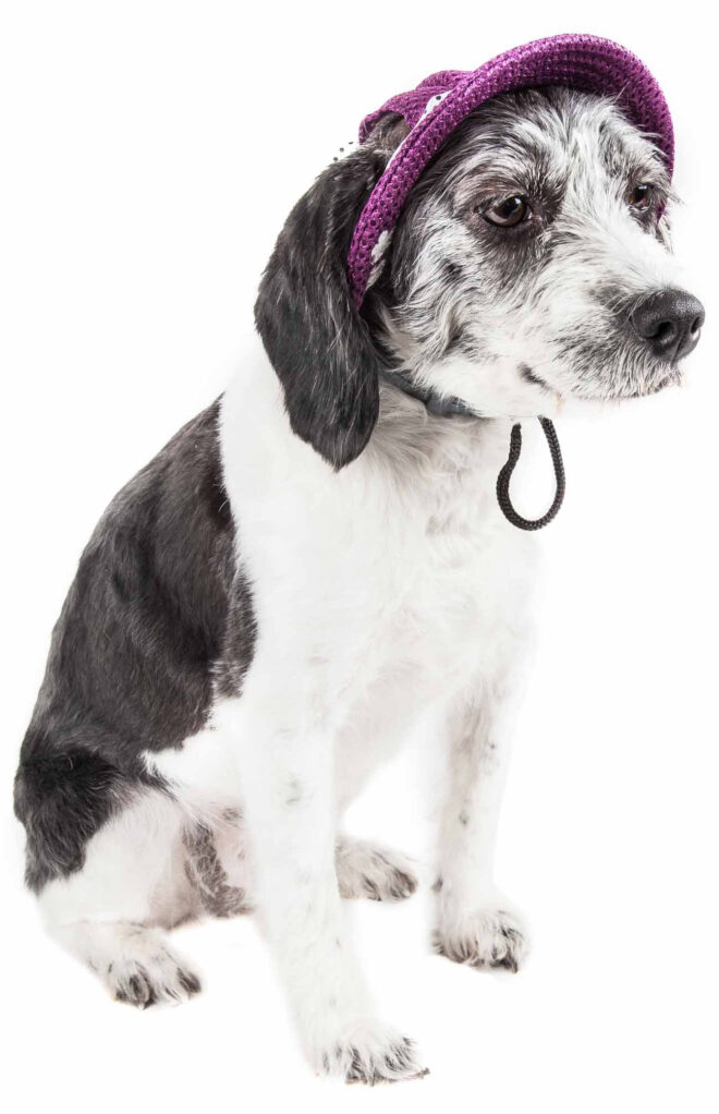 Pet Life 'Sea Spot Sun' Uv Protectant Adjustable Fashion Mesh Brimmed Dog Hat Cap - Image 35