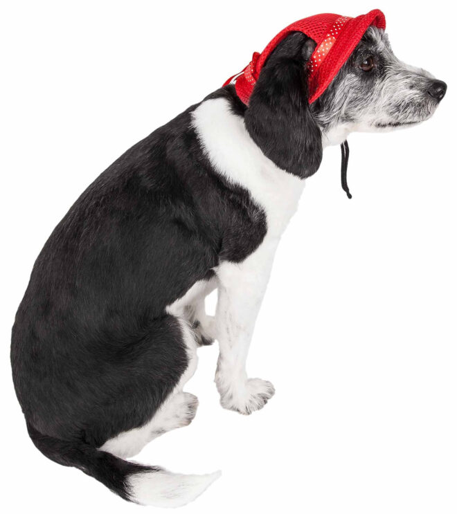 Pet Life 'Sea Spot Sun' Uv Protectant Adjustable Fashion Mesh Brimmed Dog Hat Cap - Image 22