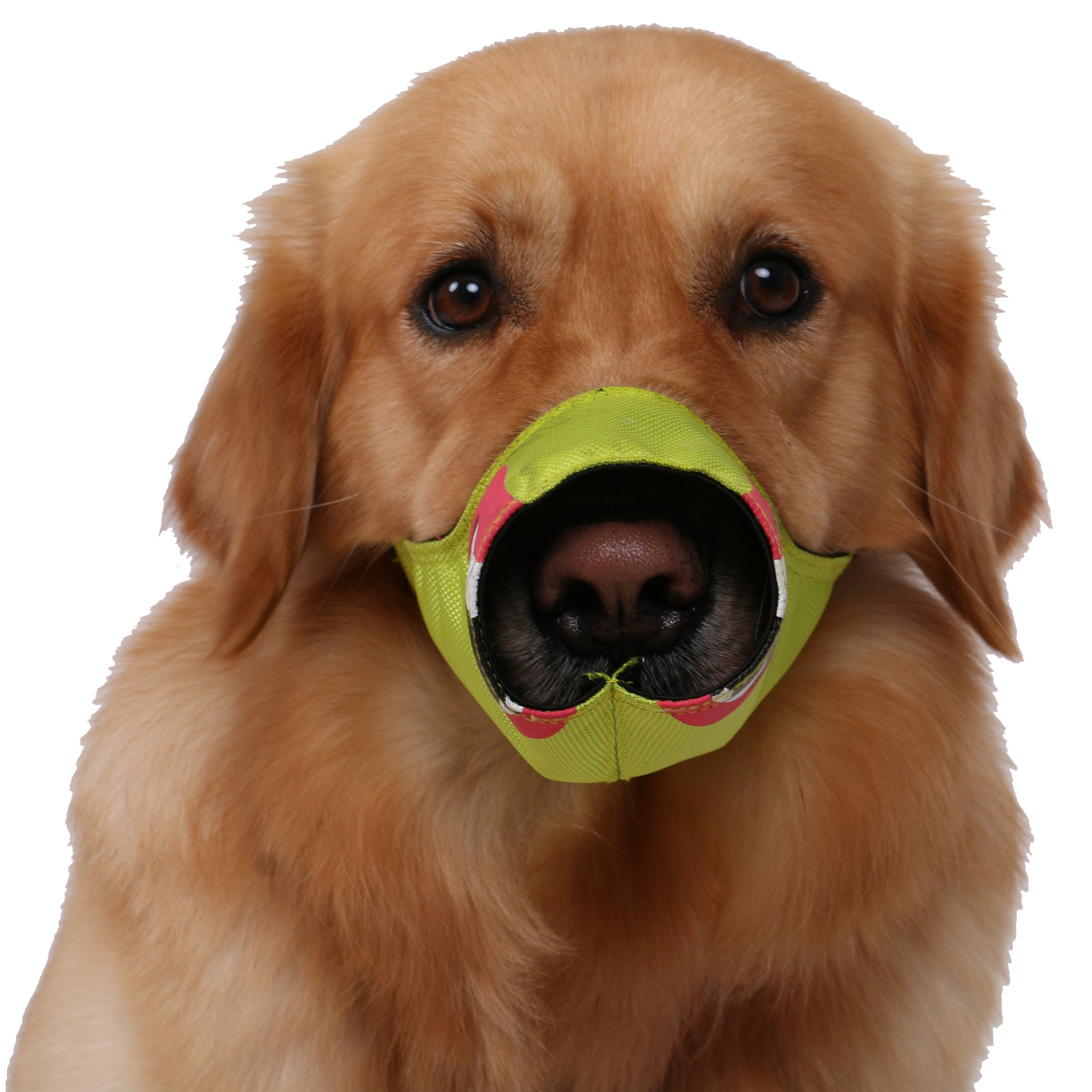 Pet Life Fumigation Adjustable Designer Dog Muzzle - Image 10