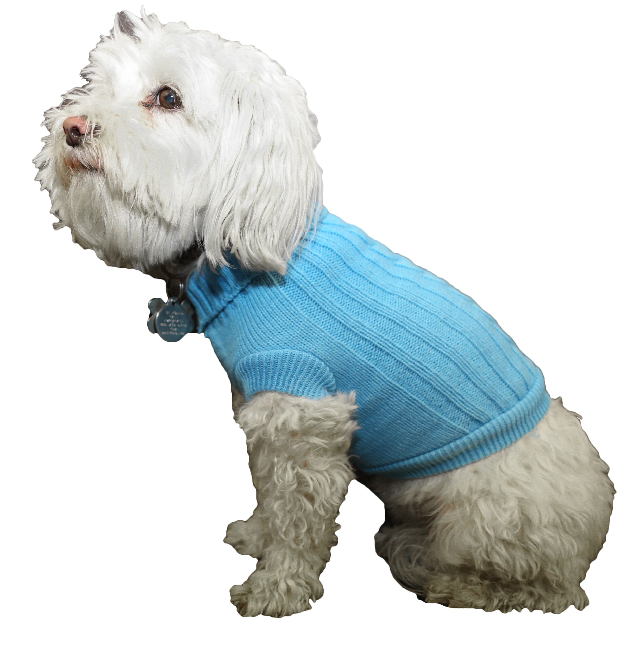 Heavy Cotton Rib-Collared Pet Sweater - Image 8