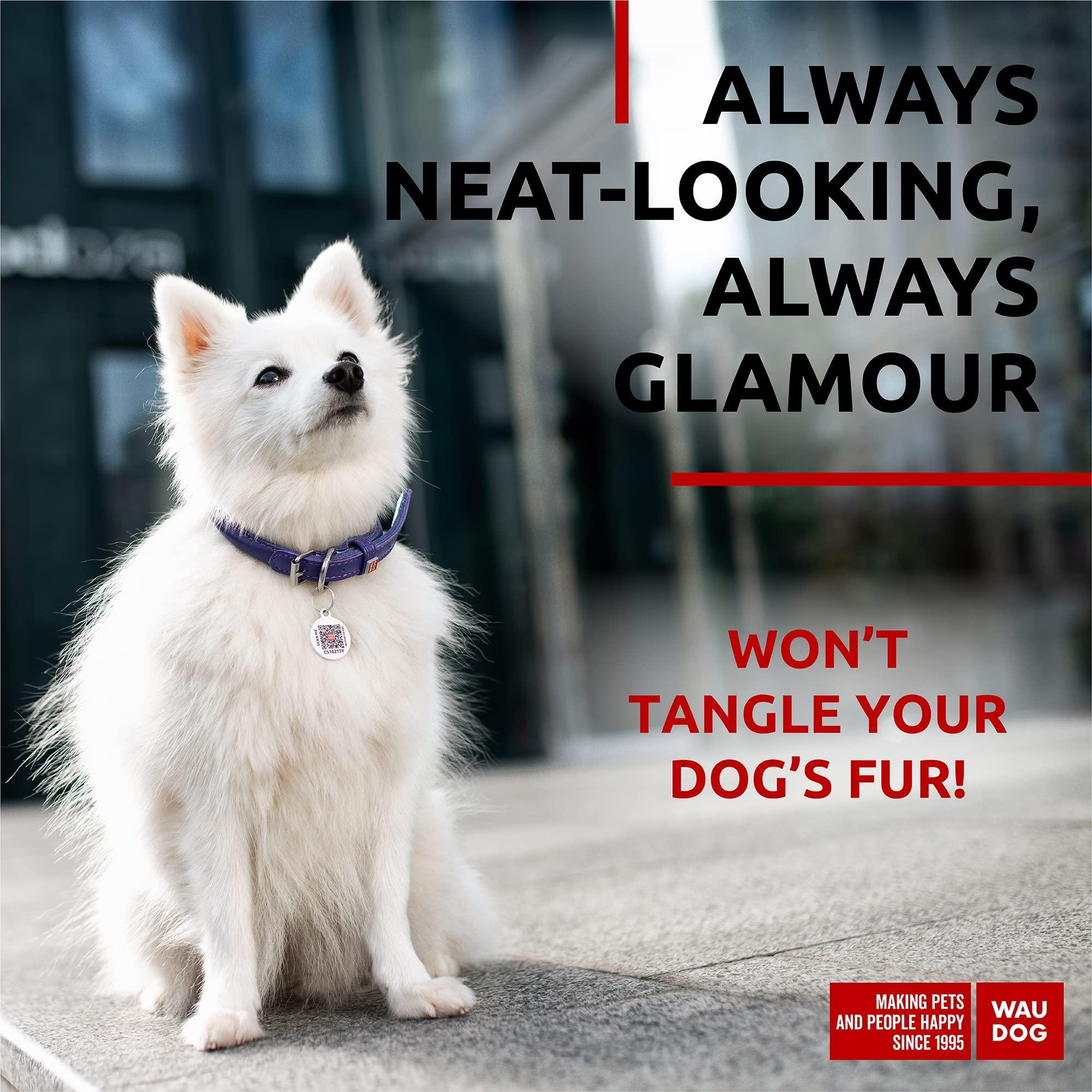 Purple Ultra Soft Rolled Leather Dog Collar for Small Dogs 10-13 inch Neck Soft Padded Dog Collars - Image 2