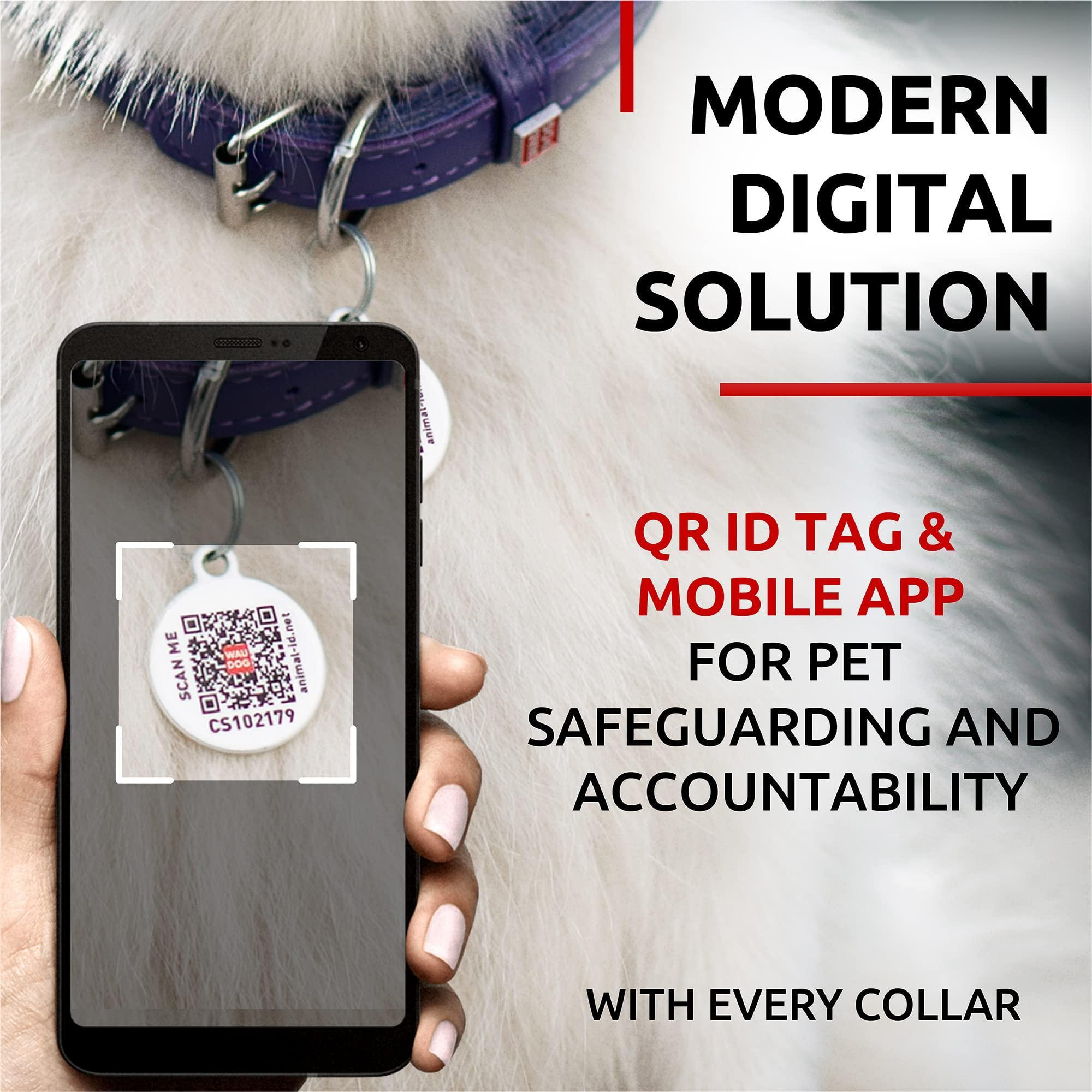 Purple Ultra Soft Rolled Leather Dog Collar for Small Dogs 10-13 inch Neck Soft Padded Dog Collars - Image 3