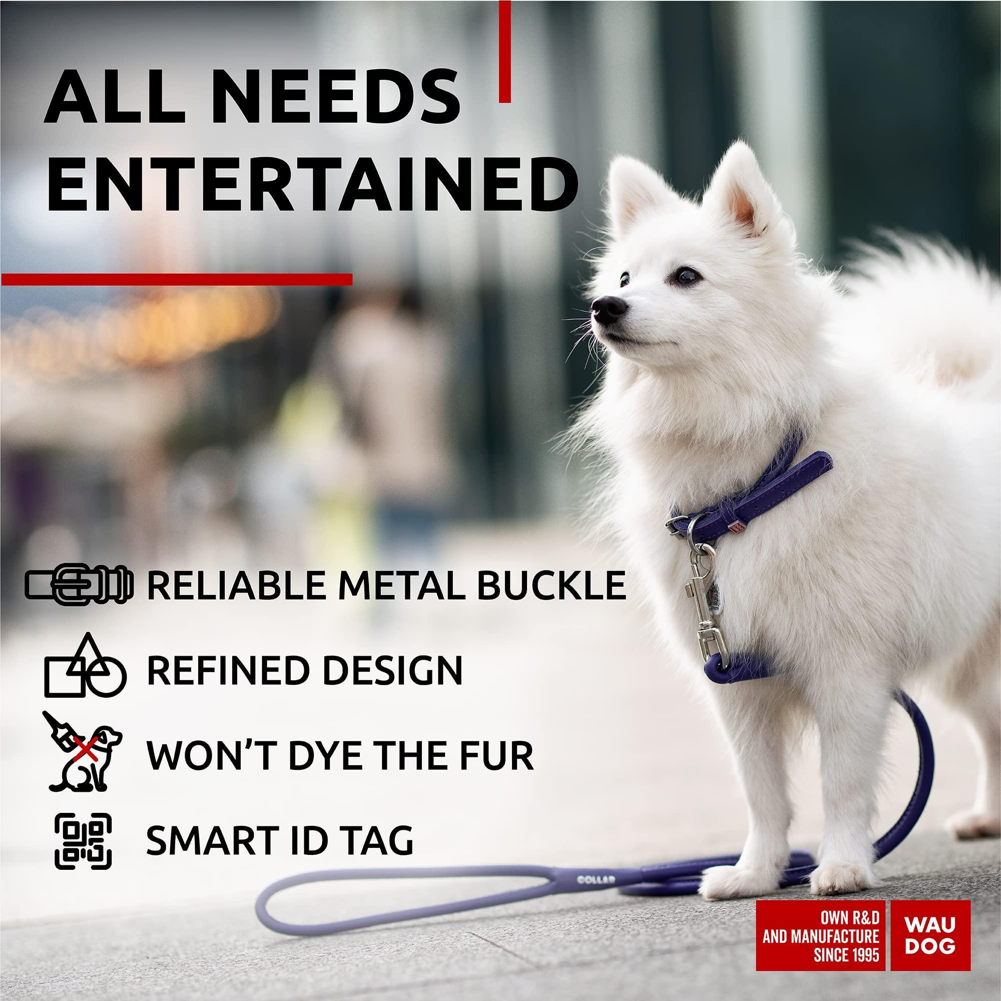 Purple Ultra Soft Rolled Leather Dog Collar for Small Dogs 10-13 inch Neck Soft Padded Dog Collars - Image 5