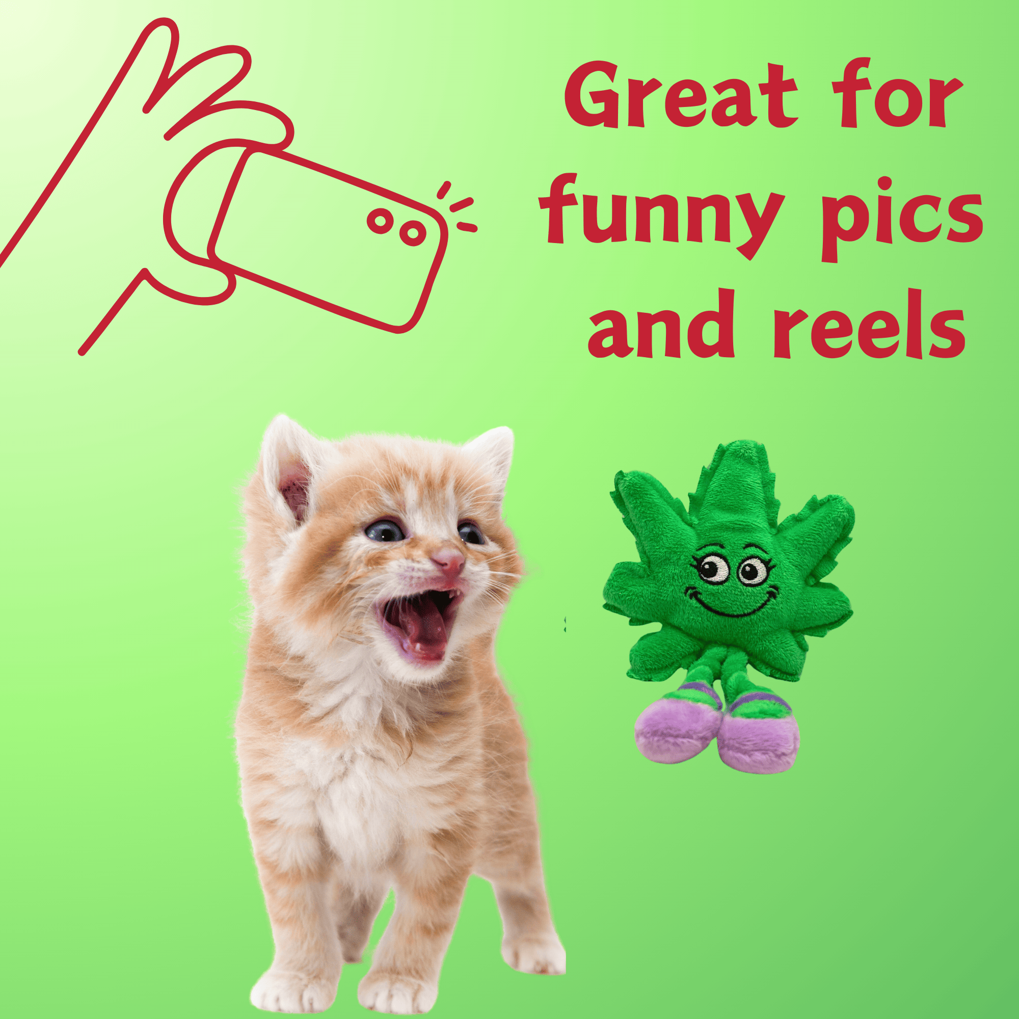 My Name is Lil' Mary Jane, Cute Stuffed Parody Marijuana Leaf Cat Toy, Funny Catnip Weed Theme Toy, Cool Plush Novelty 420 Gift for Cats & Kittens, Play & Photo Prop, Adult Plushie Shelf-Sitter - Image 3