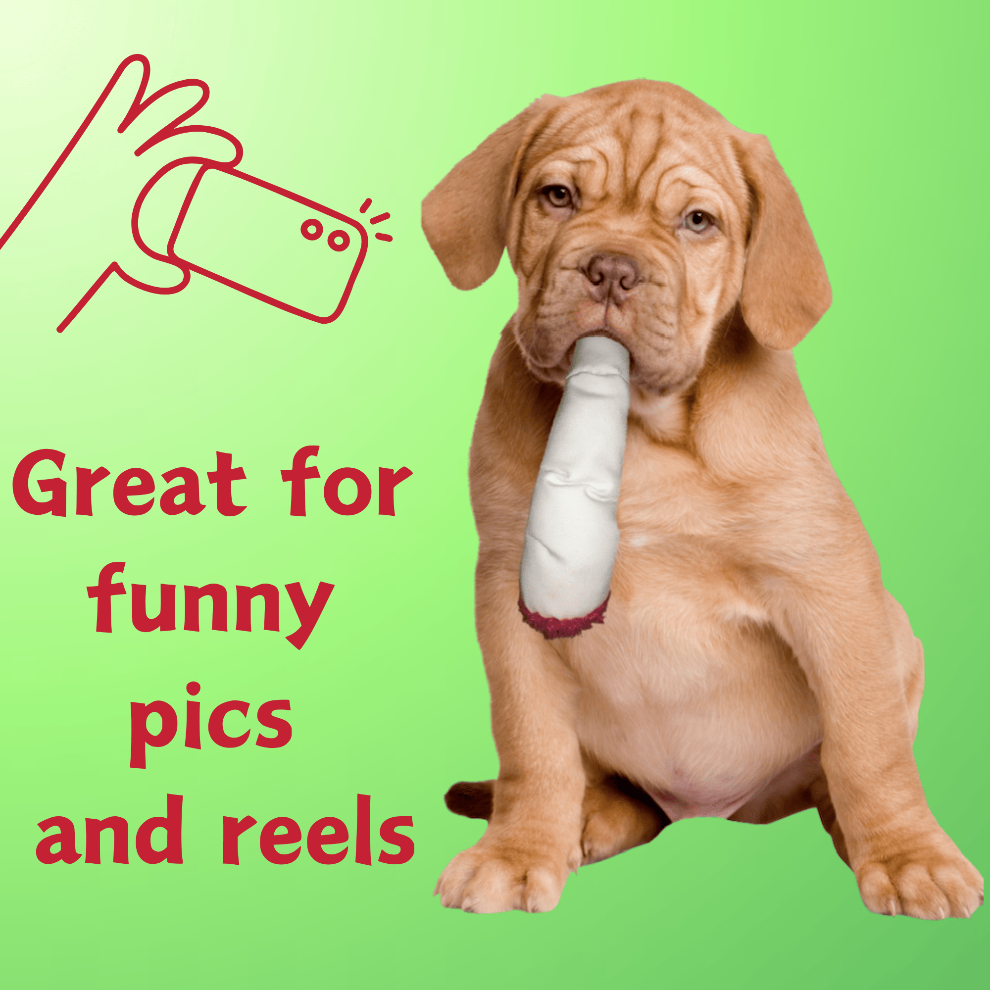 My Name is Jay, Cute Stuffed Parody Joint Dog Toy, Funny Squeaky Weed Toy, Cool Plush Novelty 420 Gift for Pets & Their Owners, Sized for Puppies & Small, Medium & Large Breeds, Fetch & a Photo Prop - Image 3