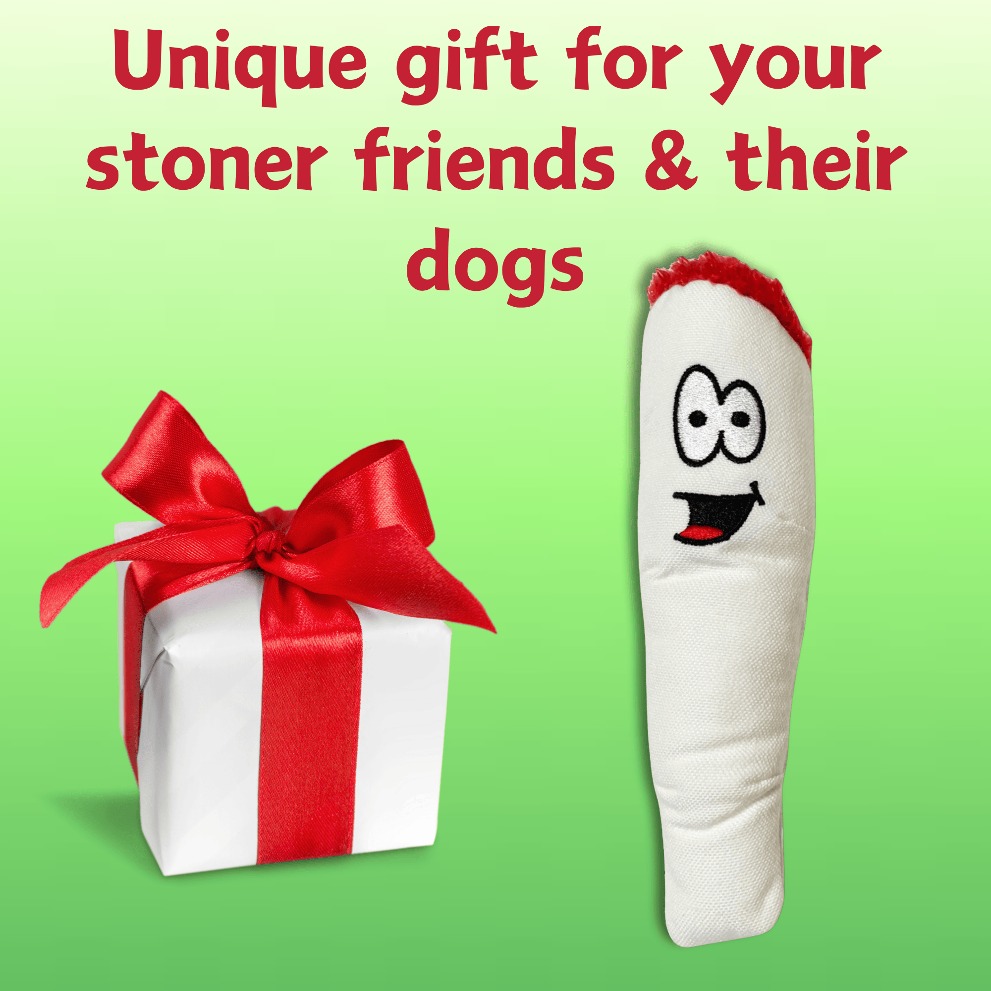 My Name is Jay, Cute Stuffed Parody Joint Dog Toy, Funny Squeaky Weed Toy, Cool Plush Novelty 420 Gift for Pets & Their Owners, Sized for Puppies & Small, Medium & Large Breeds, Fetch & a Photo Prop - Image 6