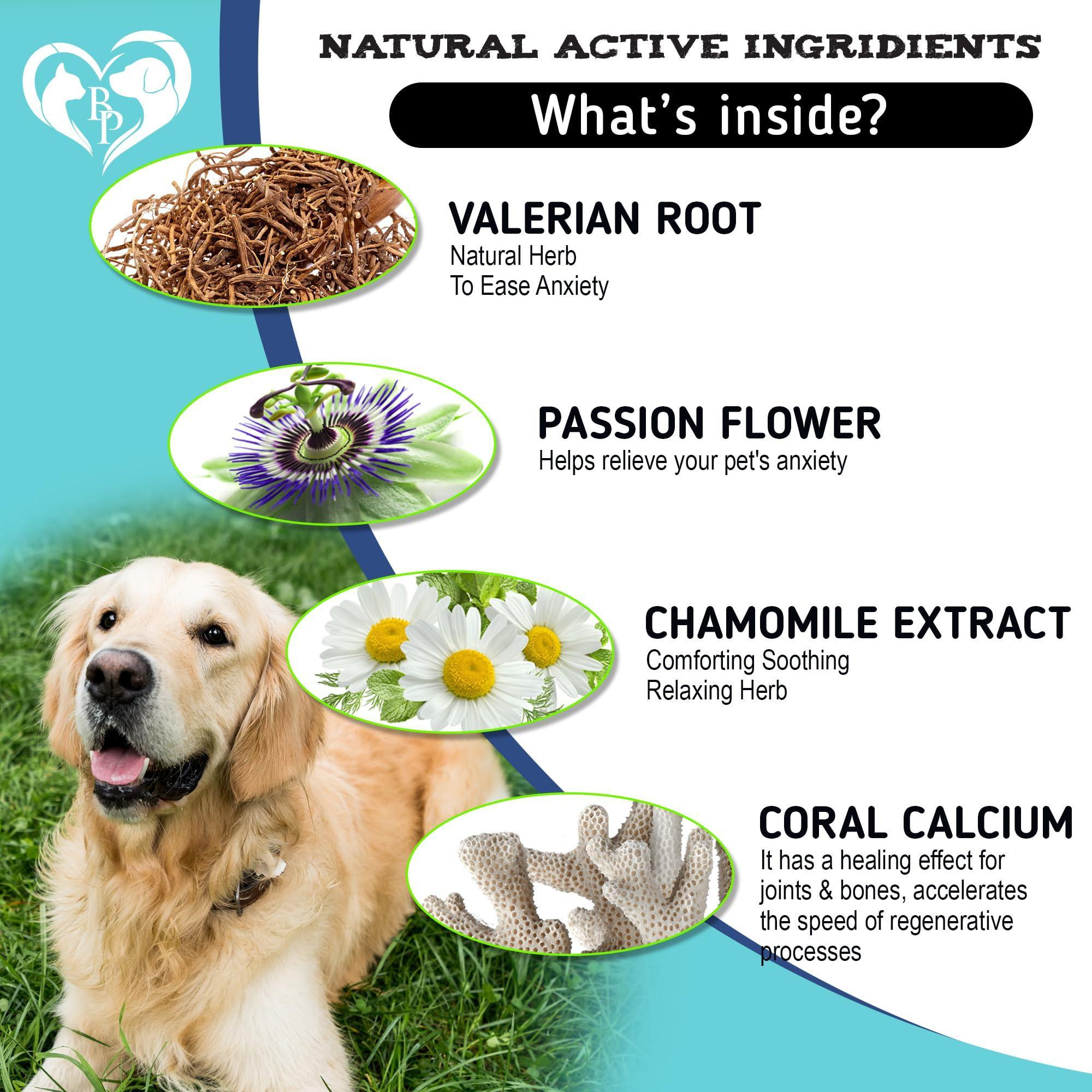 Hemp Calming Chews for Dogs Puppy Pet Separation Anxiety Relief Treats & Calm Aggressive Behavior Melatonin Anti Stress Treatment Help with Thunder Sleep Aid Bacon Flavor - Image 4