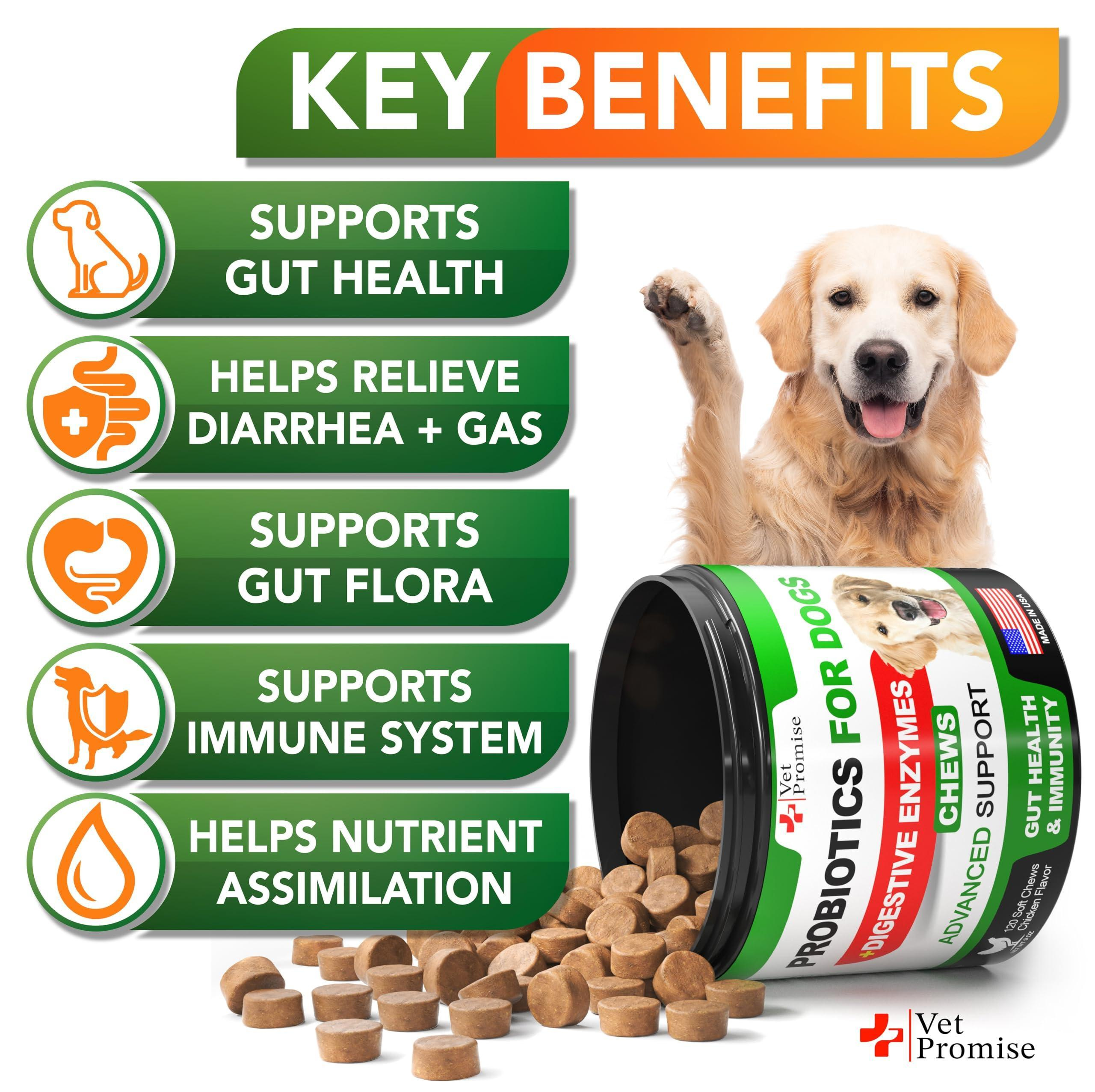 Probiotics for Dogs Digestive Enzymes for Good Health Itchy Skin 120 Chews - Image 2