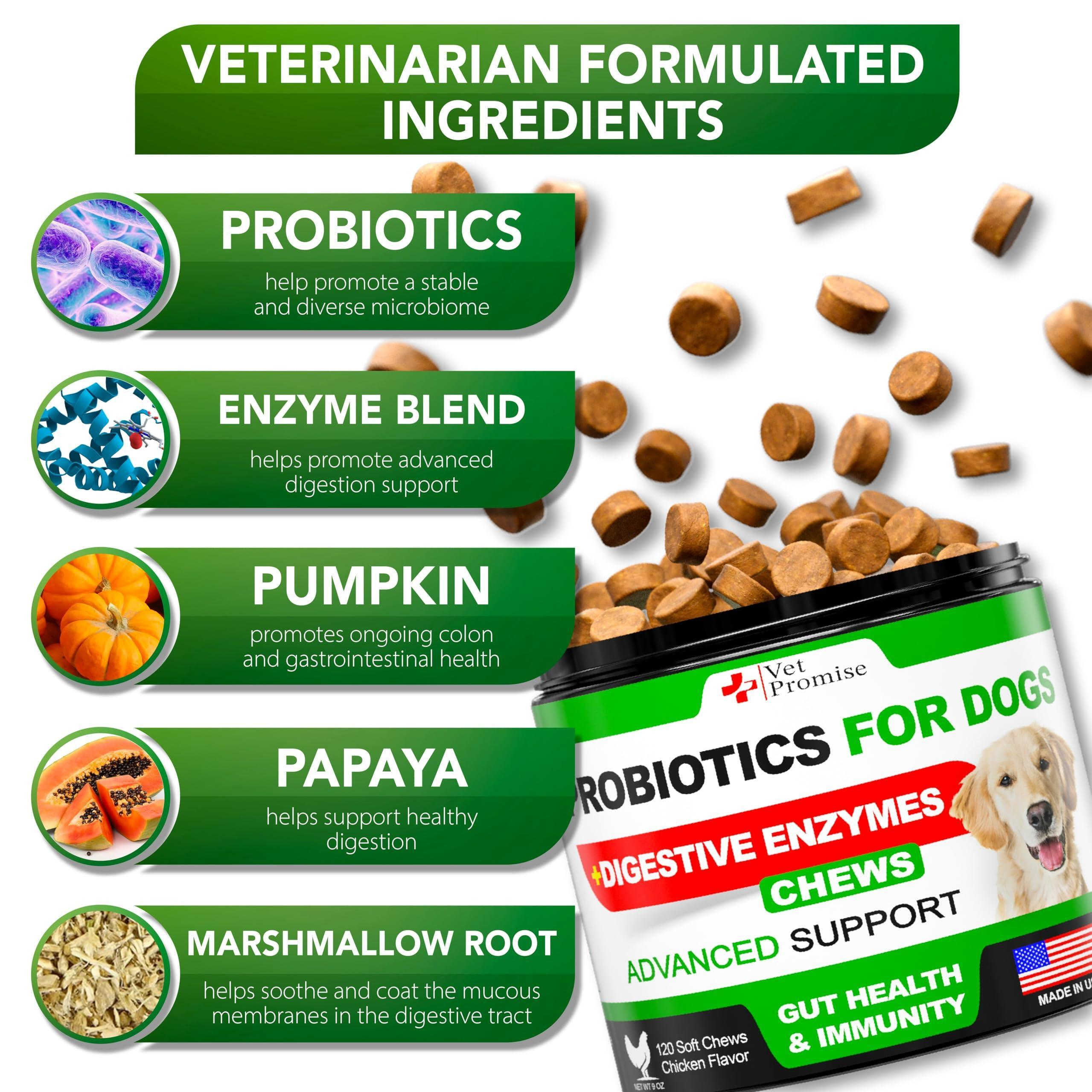 Probiotics for Dogs Digestive Enzymes for Good Health Itchy Skin 120 Chews - Image 3