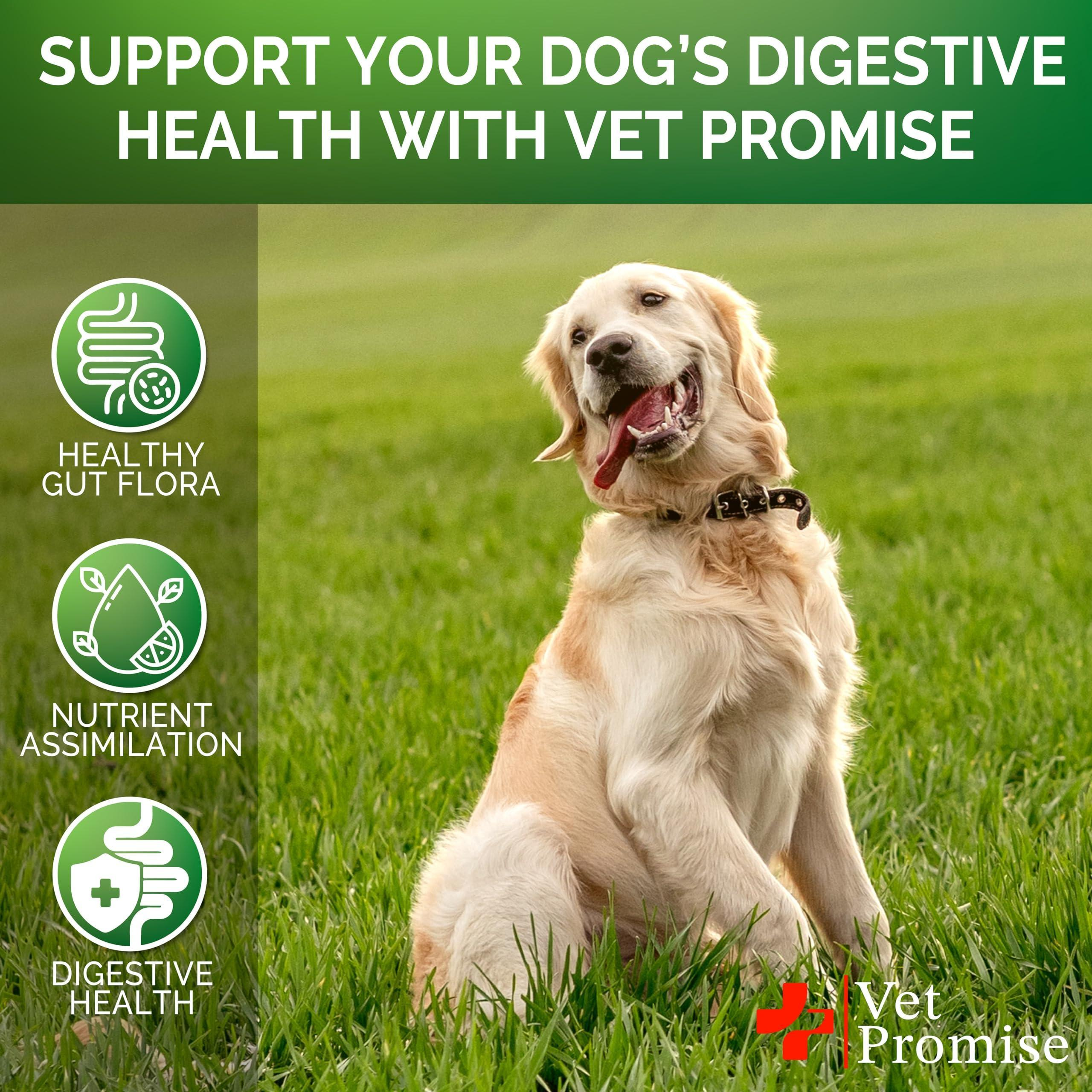 Probiotics for Dogs Digestive Enzymes for Good Health Itchy Skin 120 Chews - Image 4