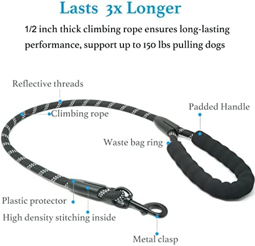 Dual Dog Leash; Double Dog Leash; 360 Swivel No Tangle Walking Leash; Shock Absorbing Bungee for Two Dogs - Image 25