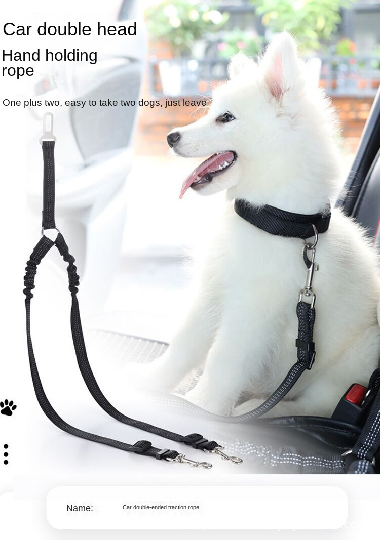 Dog Double Leashes - No Tangle Dog Leash Coupler; Comfortable Shock Absorbing Reflective Bungee Lead for Nighttime Safety - Image 12