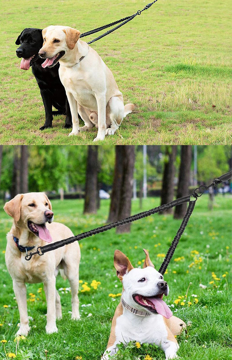 Dog Double Leashes - No Tangle Dog Leash Coupler; Comfortable Shock Absorbing Reflective Bungee Lead for Nighttime Safety - Image 3
