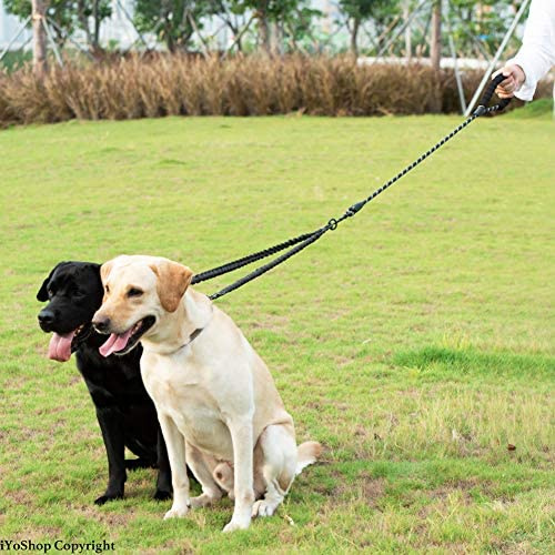 Dual Dog Leash; Double Dog Leash; 360 Swivel No Tangle Walking Leash; Shock Absorbing Bungee for Two Dogs - Image 17