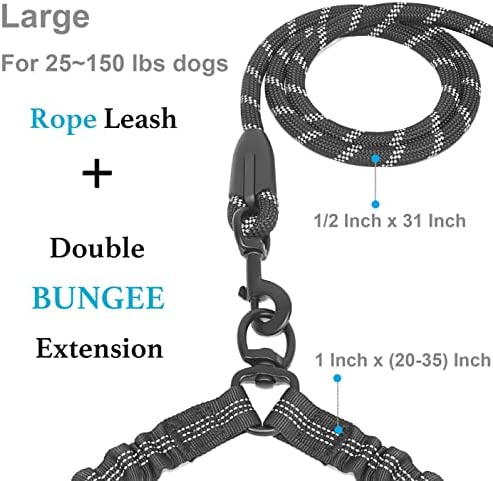 Dual Dog Leash; Double Dog Leash; 360 Swivel No Tangle Walking Leash; Shock Absorbing Bungee for Two Dogs - Image 19