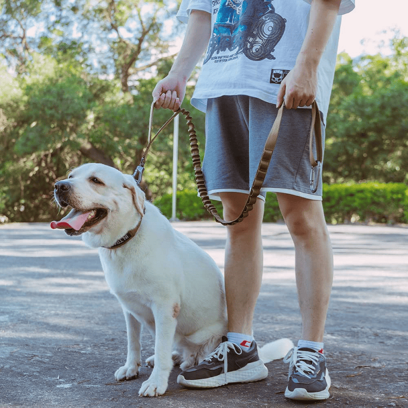 k9 leash; Bungee Dog Leash Tactical Dog Leash Nylon Adjustable Tactical Leash for Dogs Quick Release Military Dog Leash with 2 Control Handle; Bungee trap - Image 26