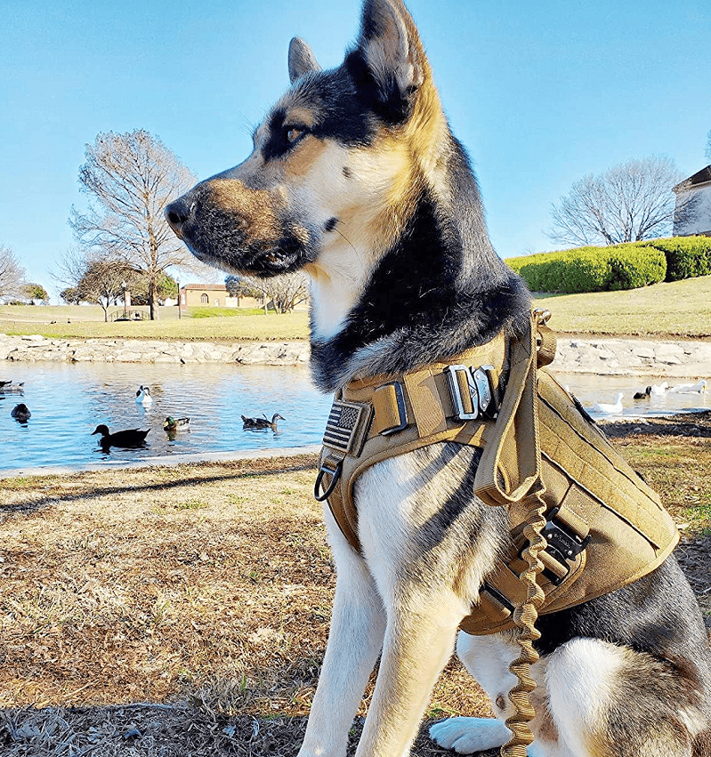 k9 leash; Bungee Dog Leash Tactical Dog Leash Nylon Adjustable Tactical Leash for Dogs Quick Release Military Dog Leash with 2 Control Handle; Bungee trap - Image 27
