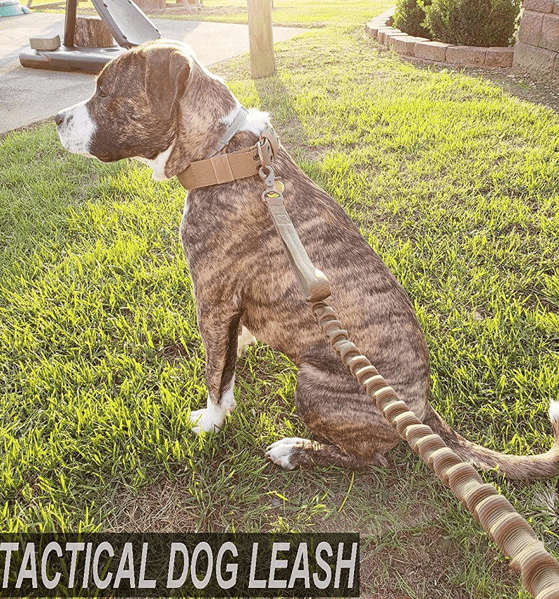 k9 leash; Bungee Dog Leash Tactical Dog Leash Nylon Adjustable Tactical Leash for Dogs Quick Release Military Dog Leash with 2 Control Handle; Bungee trap - Image 11