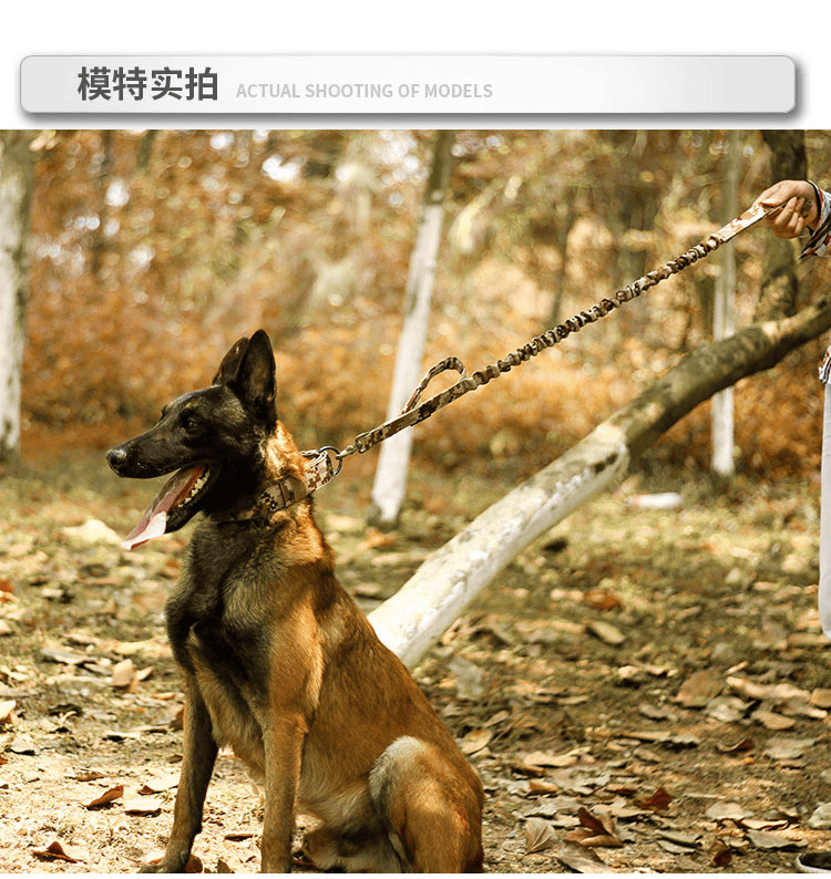 Super strong large dog collar with D-Ring & Buckle Collars Medium sized dog Golden haired horse dog Fierce dog collar - Image 24