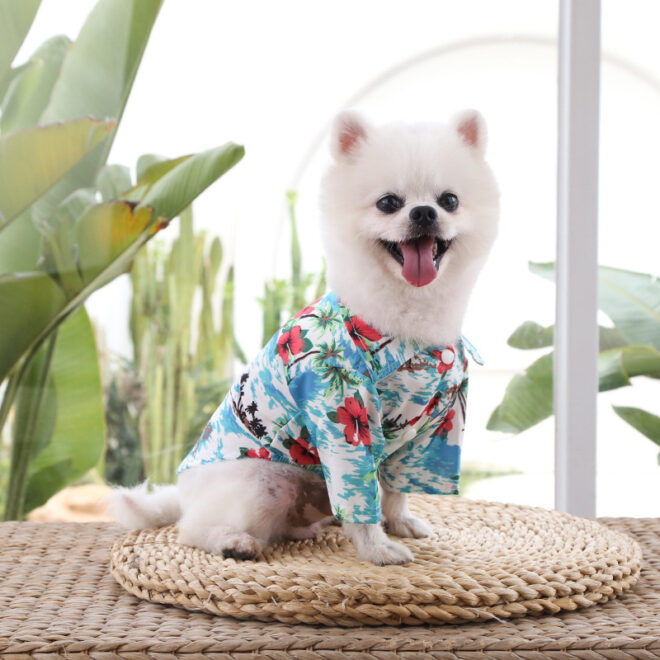 Hawaii Beach clothing for Pet Dog Cat T-Shirts Cute for Small to Medium Dog Cats Cool Summer Vest Camp Shirt Clothes; dog clothes - Image 9