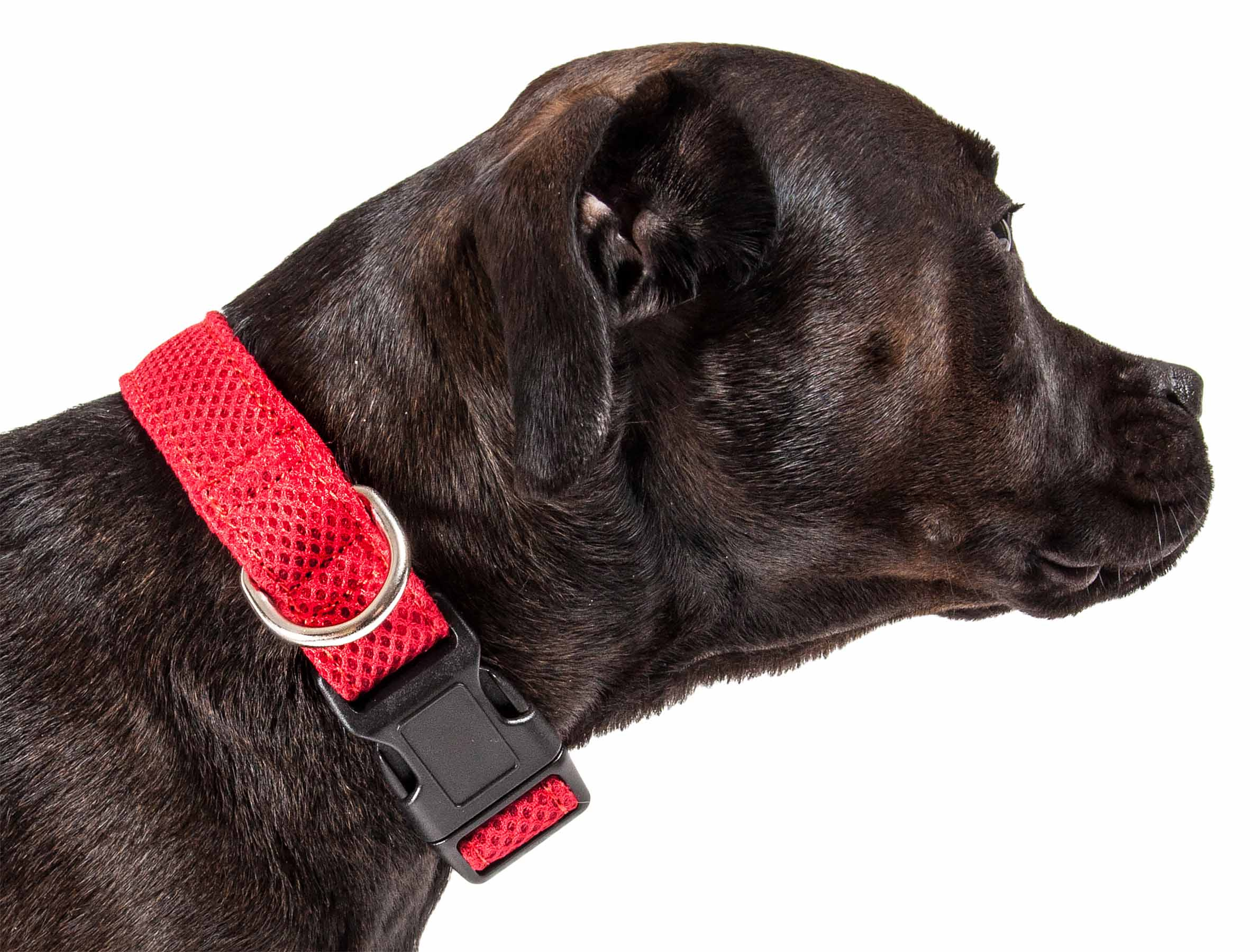 Pet Life 'Aero Mesh' 360 Degree Dual Sided Comfortable And Breathable Adjustable Mesh Dog Collar - Image 14
