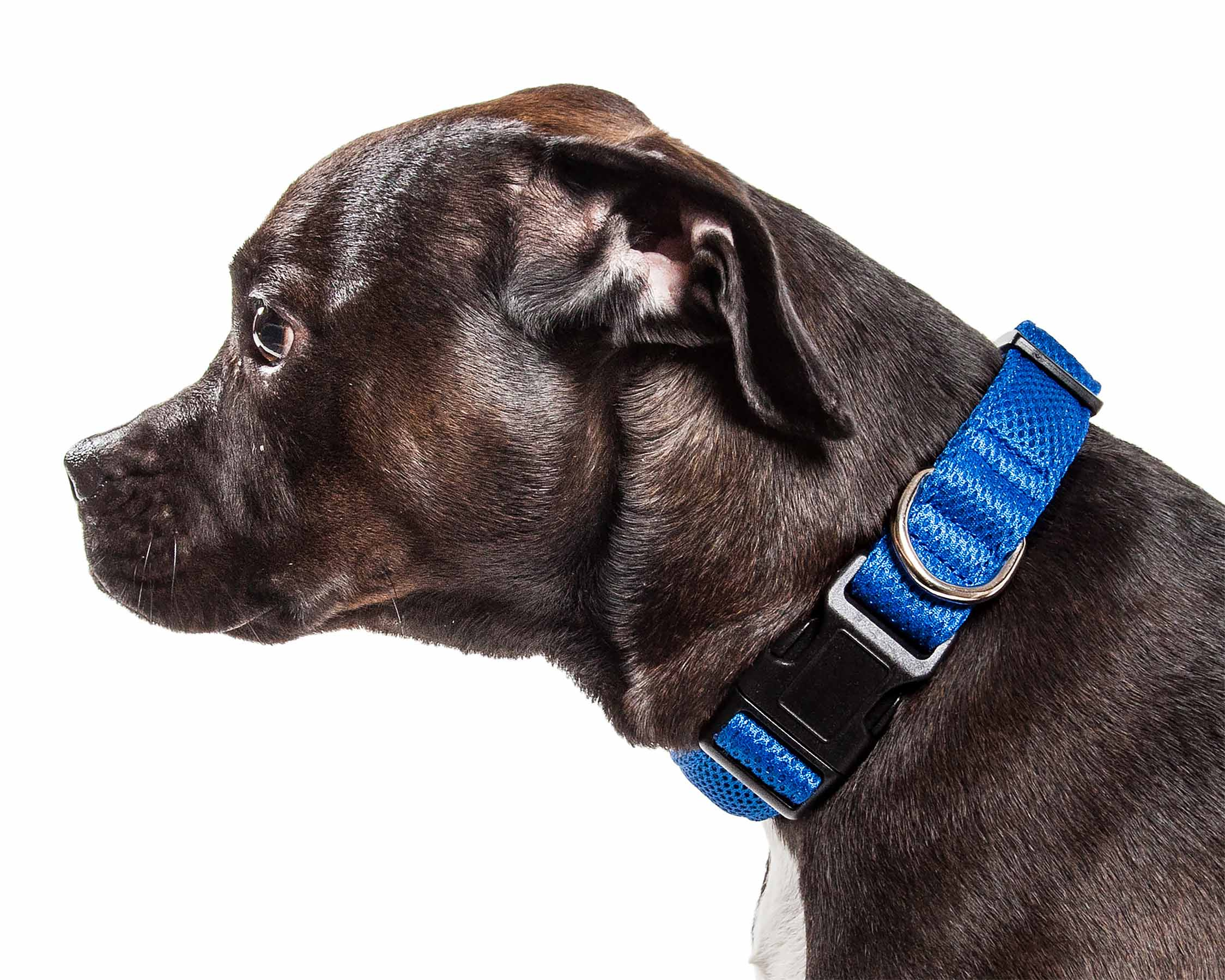 Pet Life 'Aero Mesh' 360 Degree Dual Sided Comfortable And Breathable Adjustable Mesh Dog Collar - Image 93