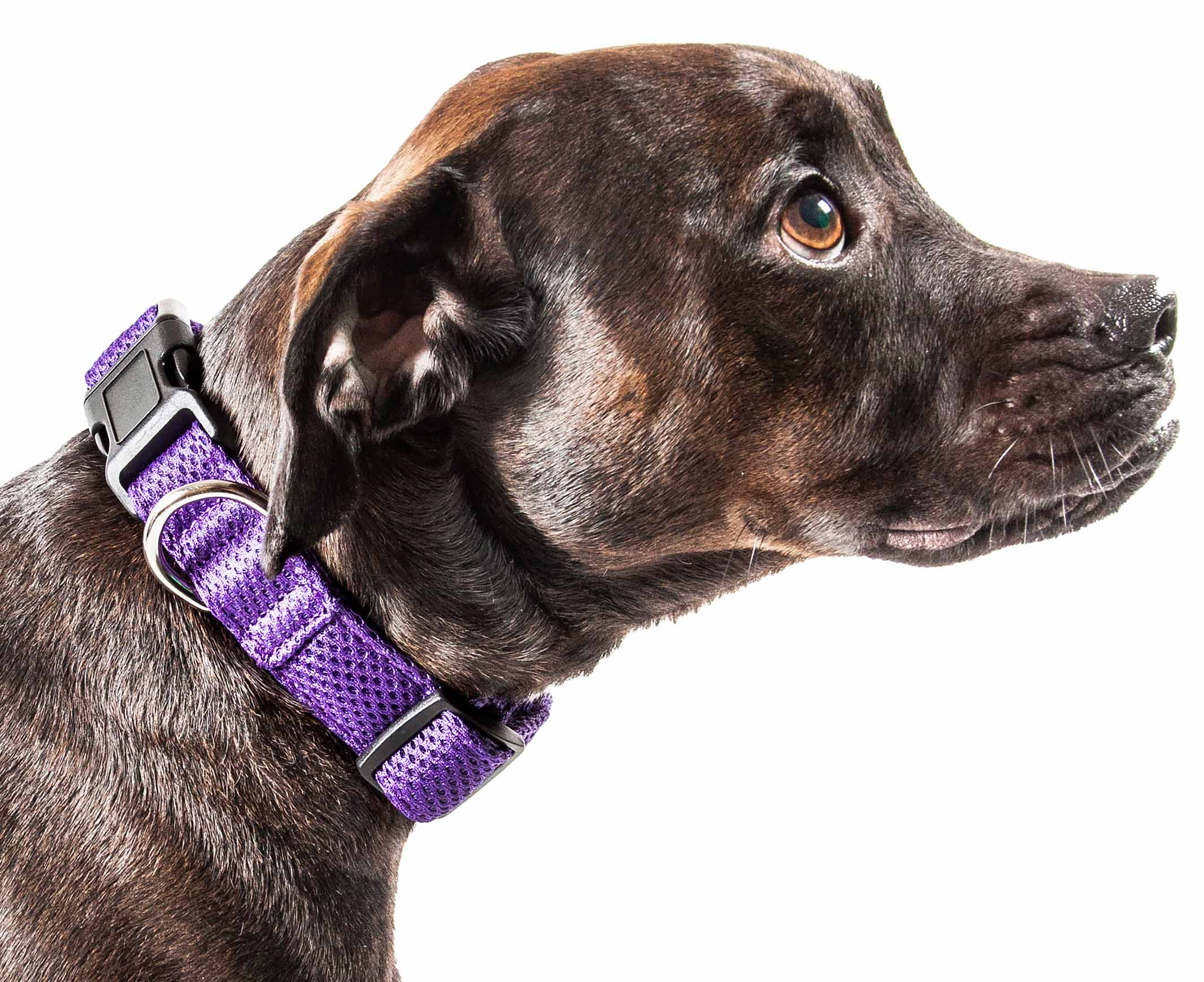 Pet Life 'Aero Mesh' 360 Degree Dual Sided Comfortable And Breathable Adjustable Mesh Dog Collar - Image 71