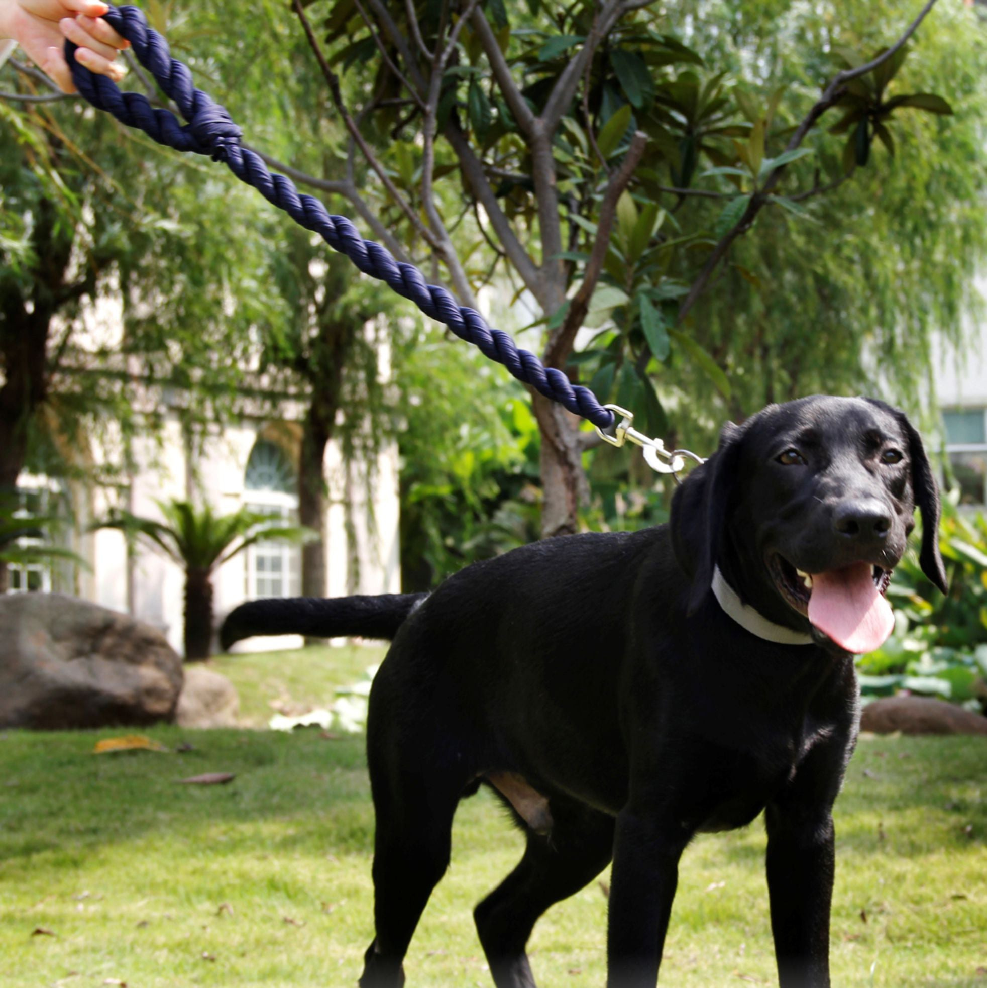 Pet Life Tough-Tugger Industrial-Strength Shock Absorption Woven Dog Leash - Image 21