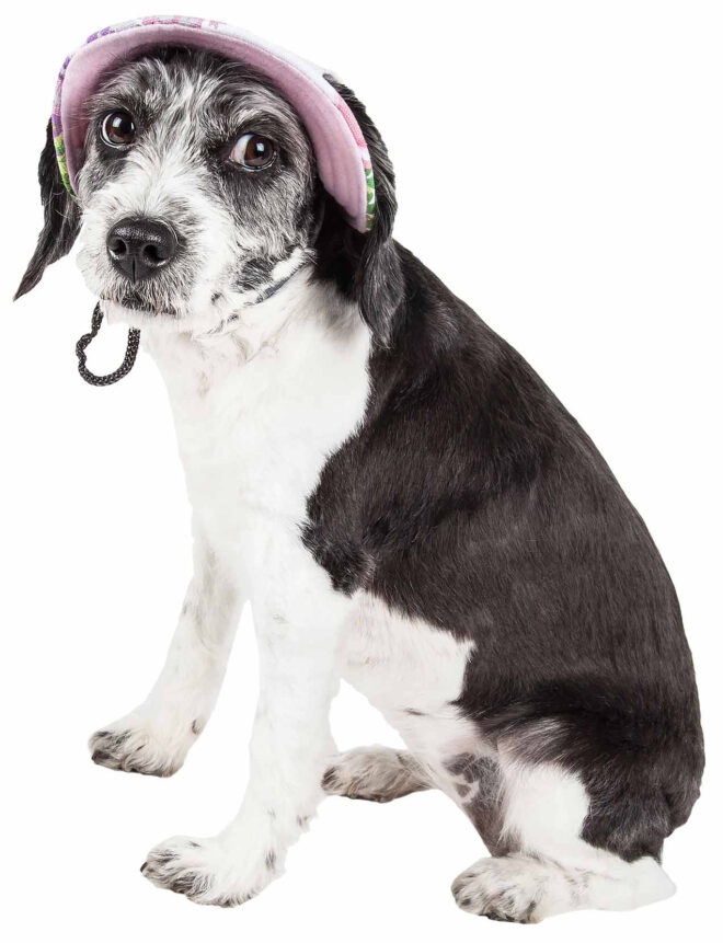 Pet Life 'Botanic Bark' Floral Uv Protectant Adjustable Fashion Canopy Brimmed Dog Hat Cap - Image 8