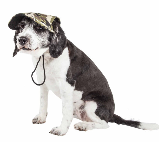 Pet Life 'Torrential Downfour' Camouflage Uv Protectant Adjustable Fashion Dog Hat Cap - Image 6