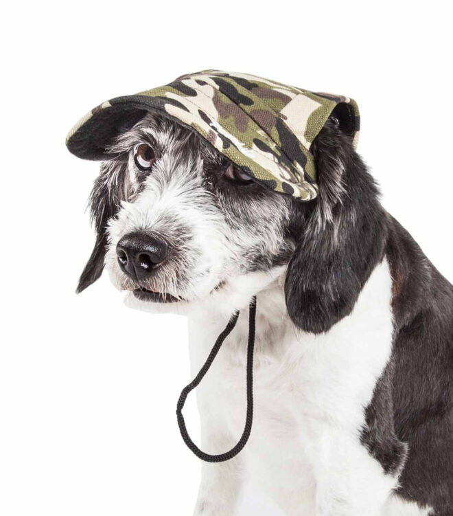 Pet Life 'Torrential Downfour' Camouflage Uv Protectant Adjustable Fashion Dog Hat Cap - Image 4
