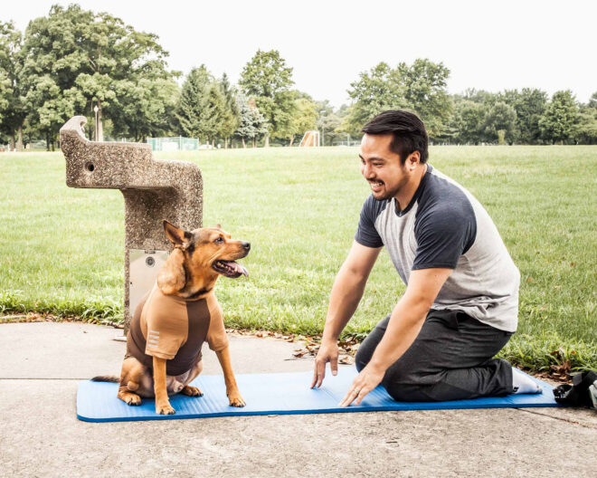 Pet Life Active 'Hybreed' 4-Way Stretch Two-Toned Performance Dog T-Shirt - Image 150