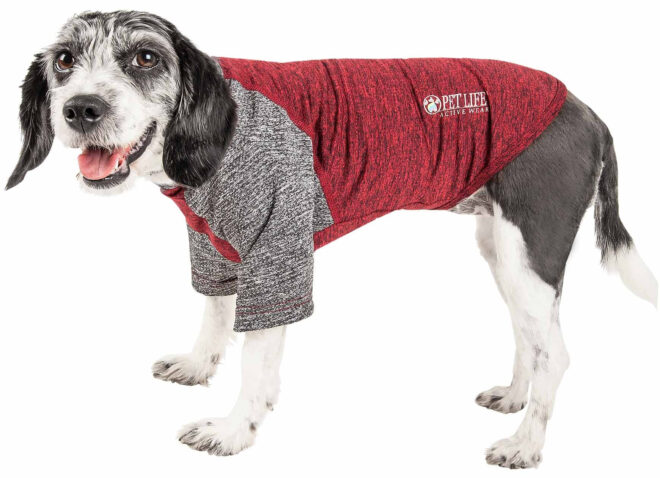 Pet Life Active 'Hybreed' 4-Way Stretch Two-Toned Performance Dog T-Shirt - Image 204
