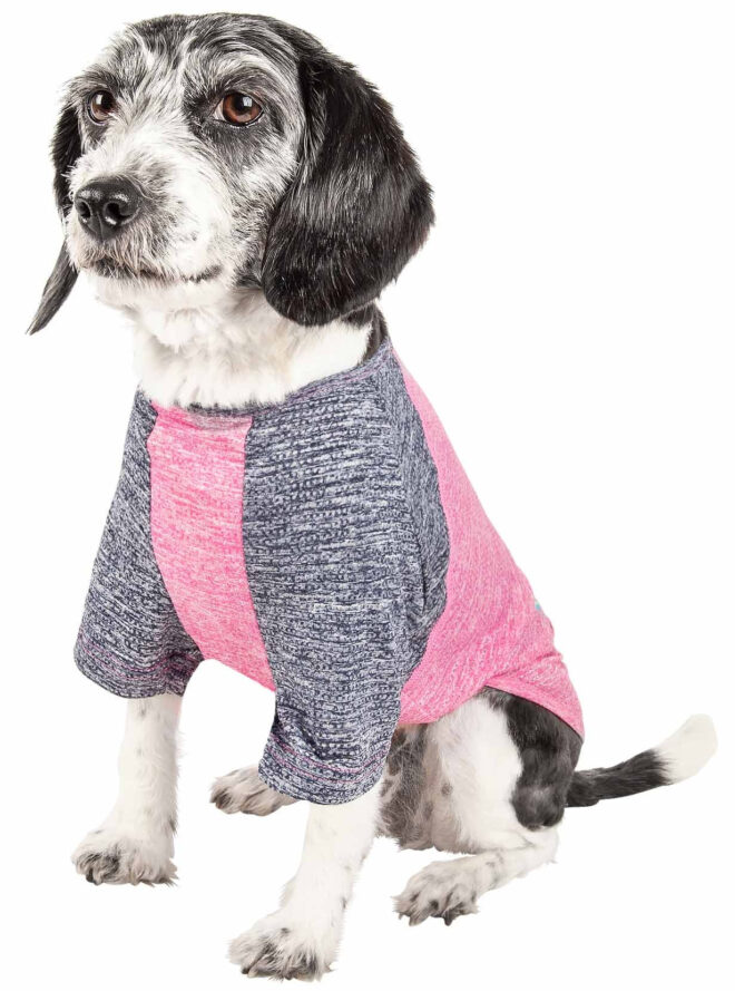 Pet Life Active 'Hybreed' 4-Way Stretch Two-Toned Performance Dog T-Shirt - Image 11