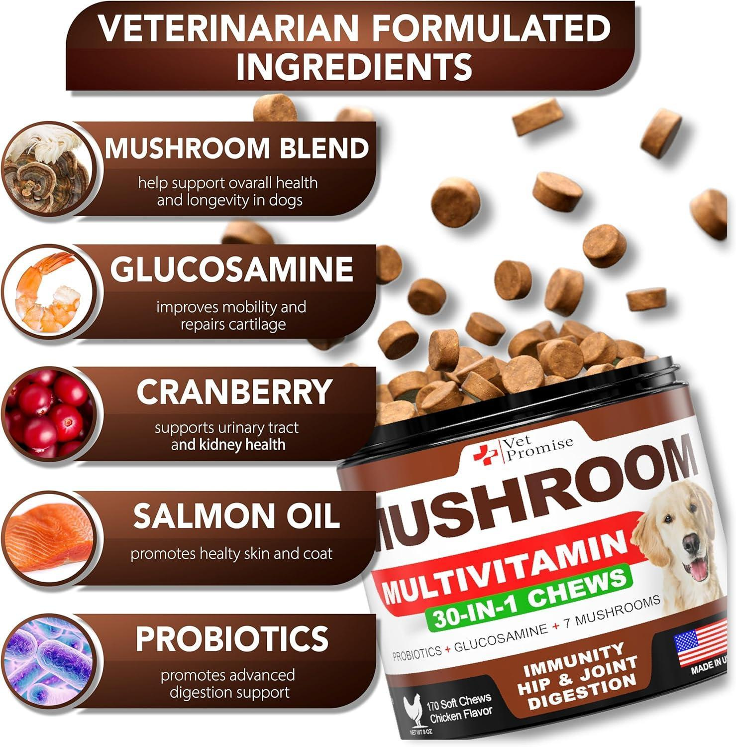Mushroom for Dogs 170 Chews Turkey Tail Mushroom for Dogs Mushroom Supplement for Dogs Lions Mane Reishi Immunity Support Multivitamin Joint Health Energy Gut Skin Dog Vitamins - Image 2