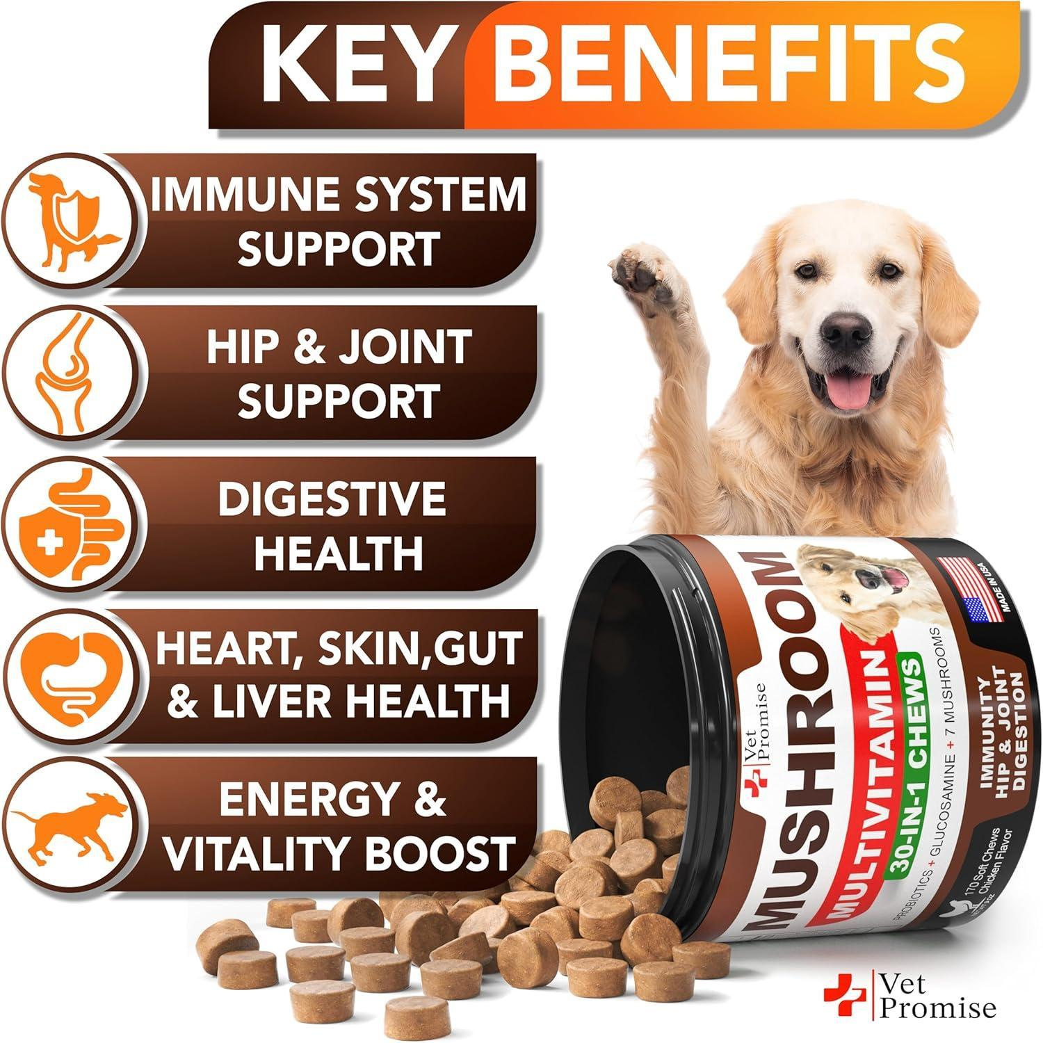 Mushroom for Dogs 170 Chews Turkey Tail Mushroom for Dogs Mushroom Supplement for Dogs Lions Mane Reishi Immunity Support Multivitamin Joint Health Energy Gut Skin Dog Vitamins - Image 3