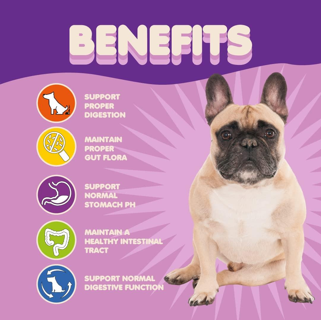 Probiotics for Dogs & Puppies Extra Strength 9 Species 5 Billion CFU per Scoop of Dog Probiotics and Digestive Enzymes for Dogs Support Fiber for Dogs Dog Allergy Relief Powder Probiotic for Dogs - Image 3