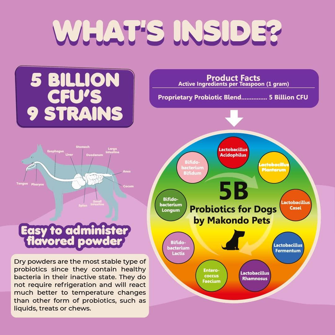 Probiotics for Dogs & Puppies Extra Strength 9 Species 5 Billion CFU per Scoop of Dog Probiotics and Digestive Enzymes for Dogs Support Fiber for Dogs Dog Allergy Relief Powder Probiotic for Dogs - Image 4