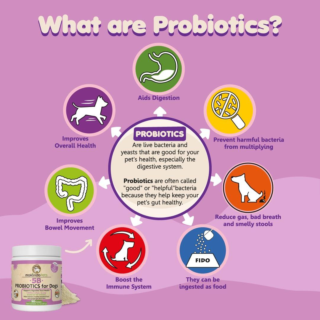 Probiotics for Dogs & Puppies Extra Strength 9 Species 5 Billion CFU per Scoop of Dog Probiotics and Digestive Enzymes for Dogs Support Fiber for Dogs Dog Allergy Relief Powder Probiotic for Dogs - Image 6