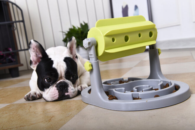 Pet Life 'Roto Paw' IQ Training Interactive Rotating Slow Dog Feeder - Image 2