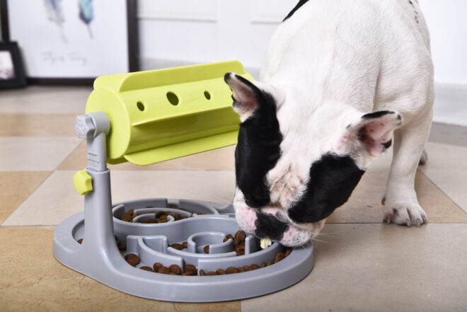 Pet Life 'Roto Paw' IQ Training Interactive Rotating Slow Dog Feeder - Image 3