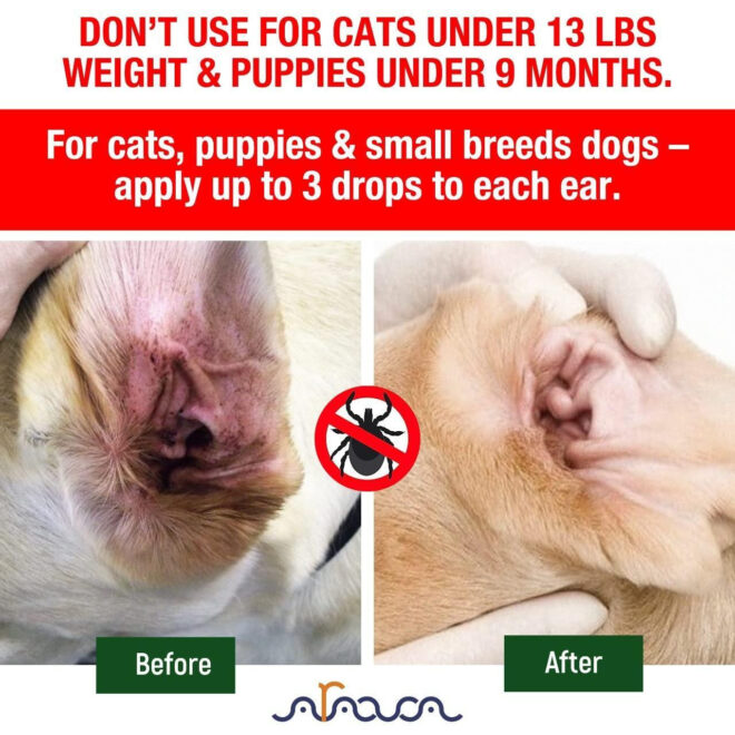 Natural Ear Mite Treatment for Dogs Cats Pet Ear Mites Infection Cleaner Treat Inaccessible Areas Prevent Infections NOT for Cats Under 13 LBS and Puppies Under 9 Months - Image 3