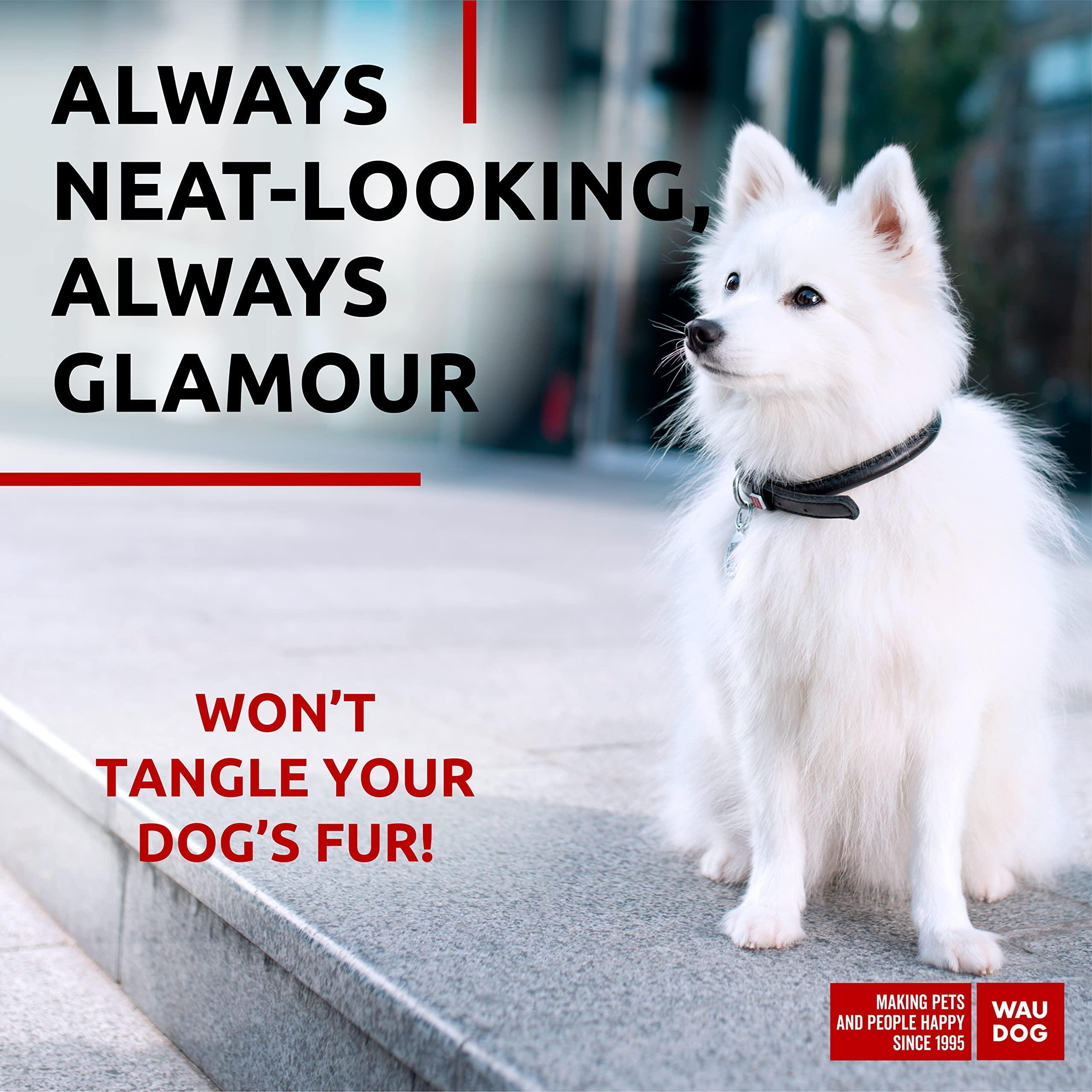 Black Ultra Soft Rolled Leather Dog Collar 10-13 inch Neck Soft Padded Dog Collars for Small Medium Dogs Male and Female Dog Collar - Image 2