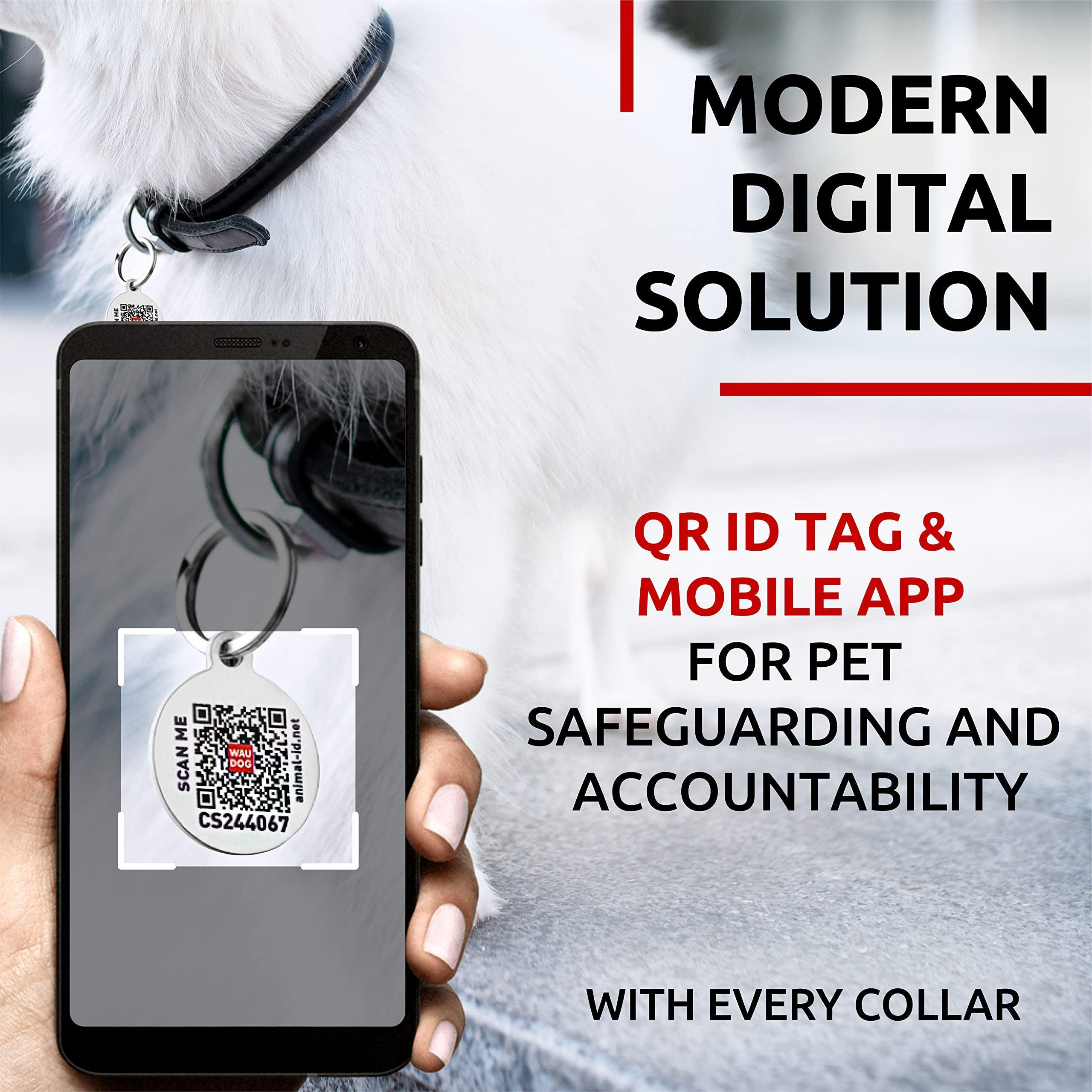 Black Ultra Soft Rolled Leather Dog Collar 10-13 inch Neck Soft Padded Dog Collars for Small Medium Dogs Male and Female Dog Collar - Image 3