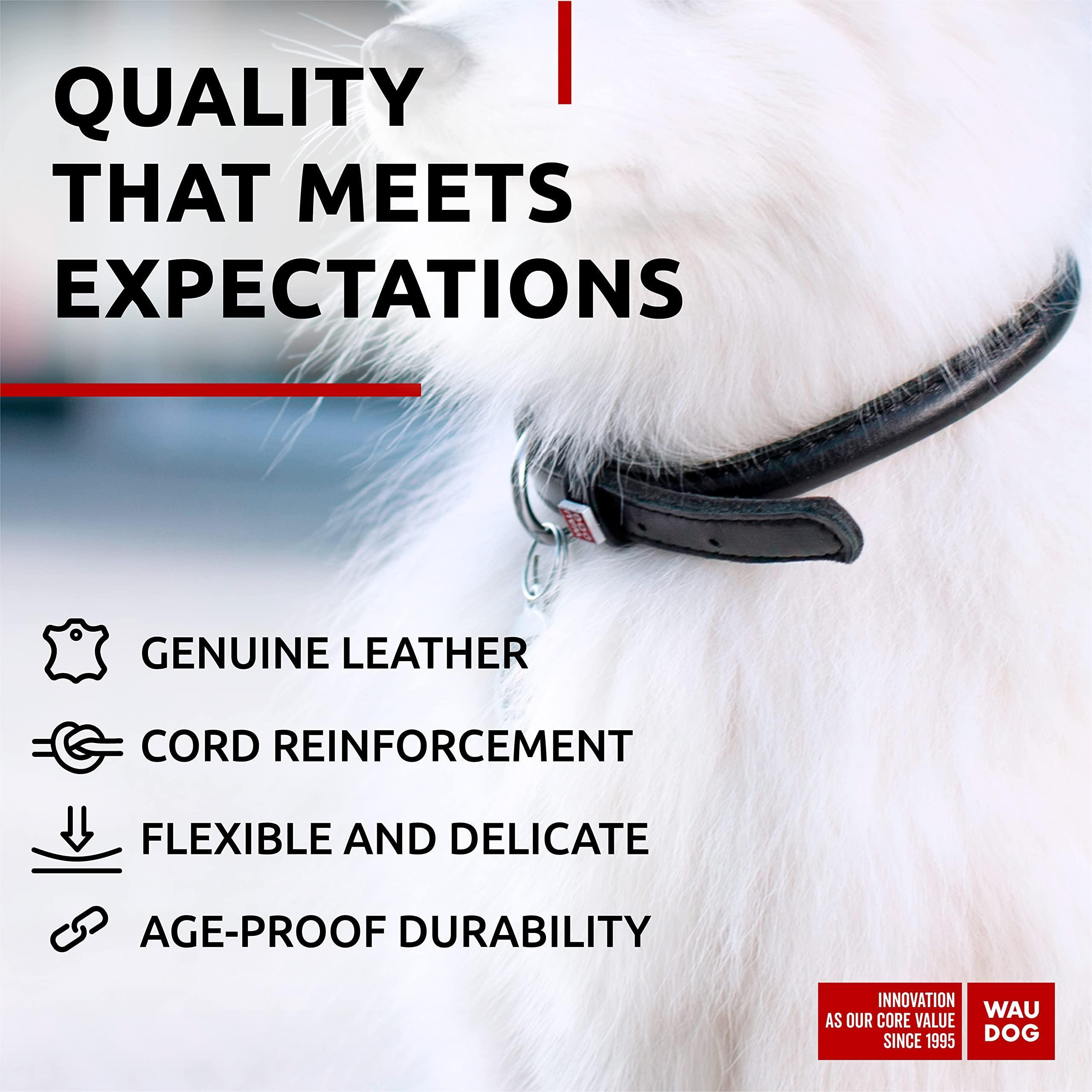 Black Ultra Soft Rolled Leather Dog Collar 10-13 inch Neck Soft Padded Dog Collars for Small Medium Dogs Male and Female Dog Collar - Image 4