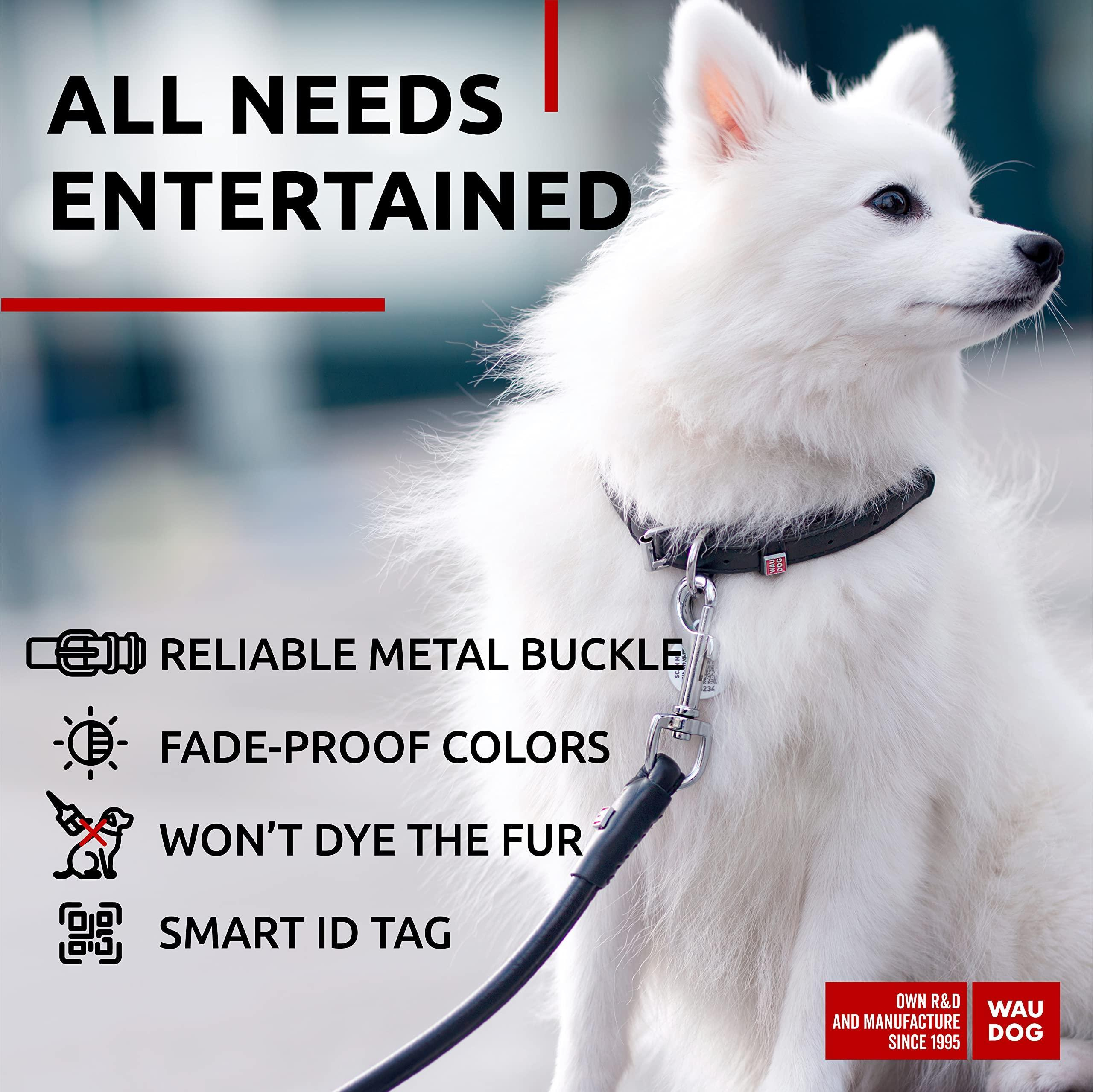 Black Ultra Soft Rolled Leather Dog Collar 10-13 inch Neck Soft Padded Dog Collars for Small Medium Dogs Male and Female Dog Collar - Image 5