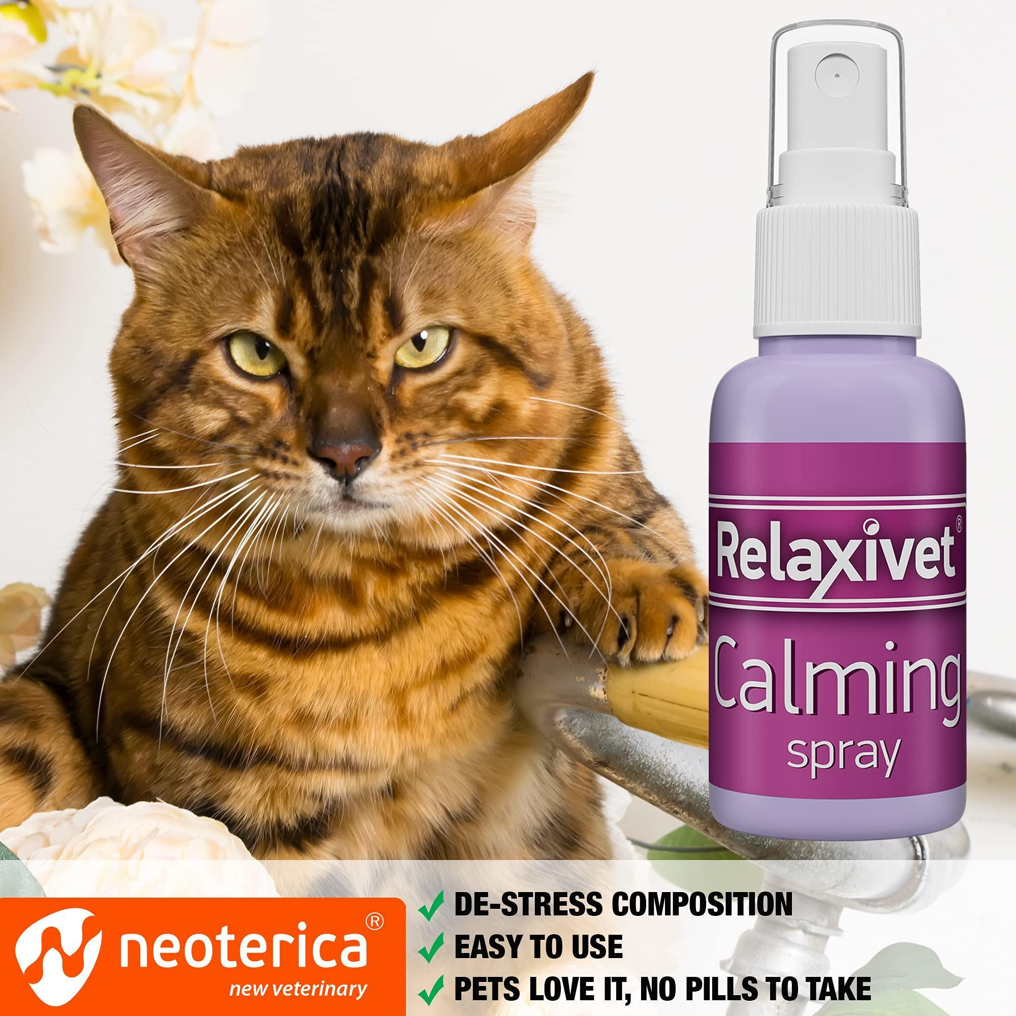 Calming Pheromone Spray Scratch Repellent for Cats Reduce Scratching Furniture Pee Helps to Relief Stress Fighting Hiding - Image 4