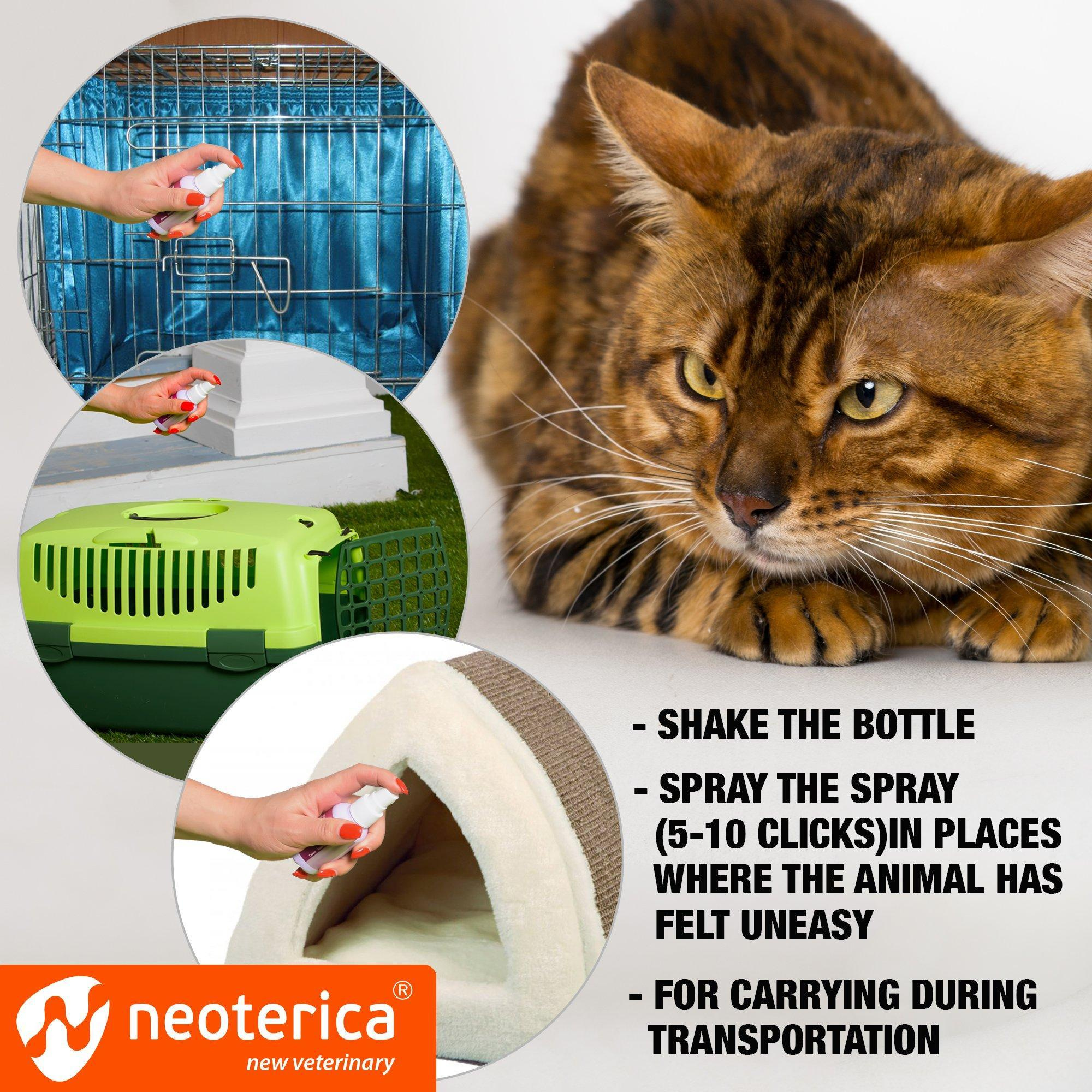 Calming Pheromone Spray Scratch Repellent for Cats Reduce Scratching Furniture Pee Helps to Relief Stress Fighting Hiding - Image 6